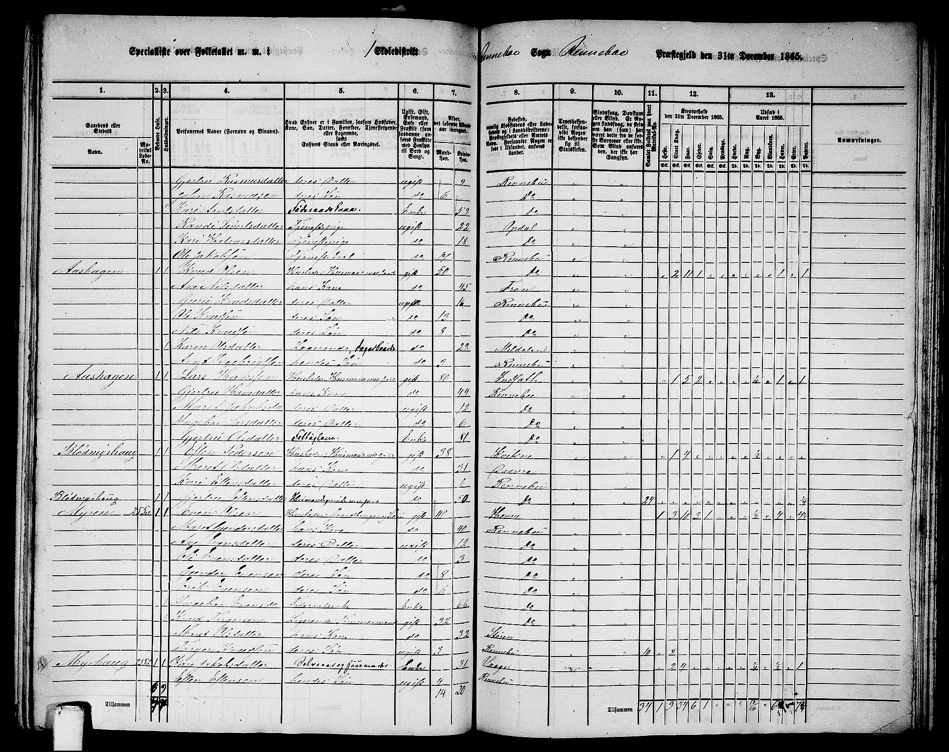 RA, 1865 census for Rennebu, 1865, p. 15