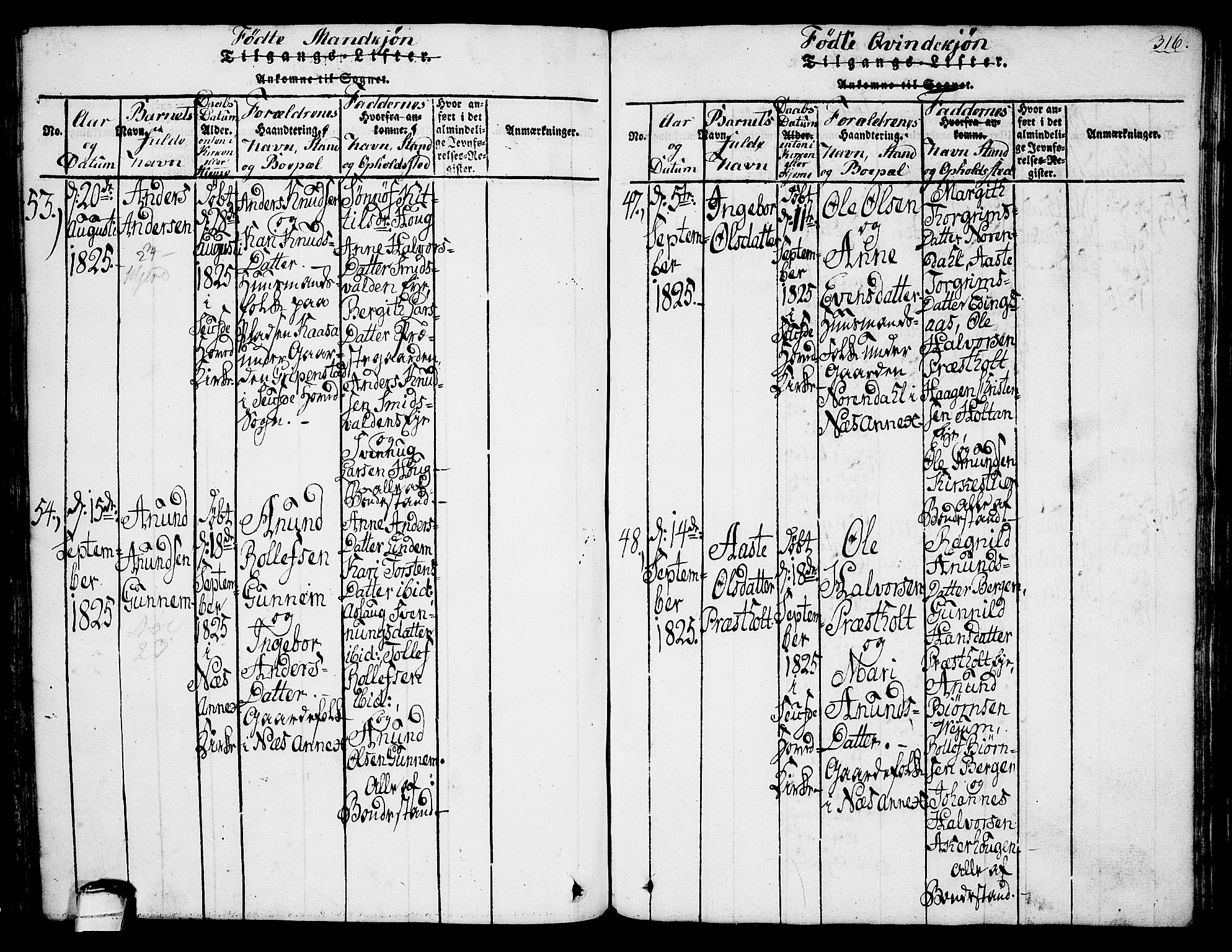 Sauherad kirkebøker, SAKO/A-298/G/Ga/L0001: Parish register (copy) no. I 1, 1815-1827, p. 316