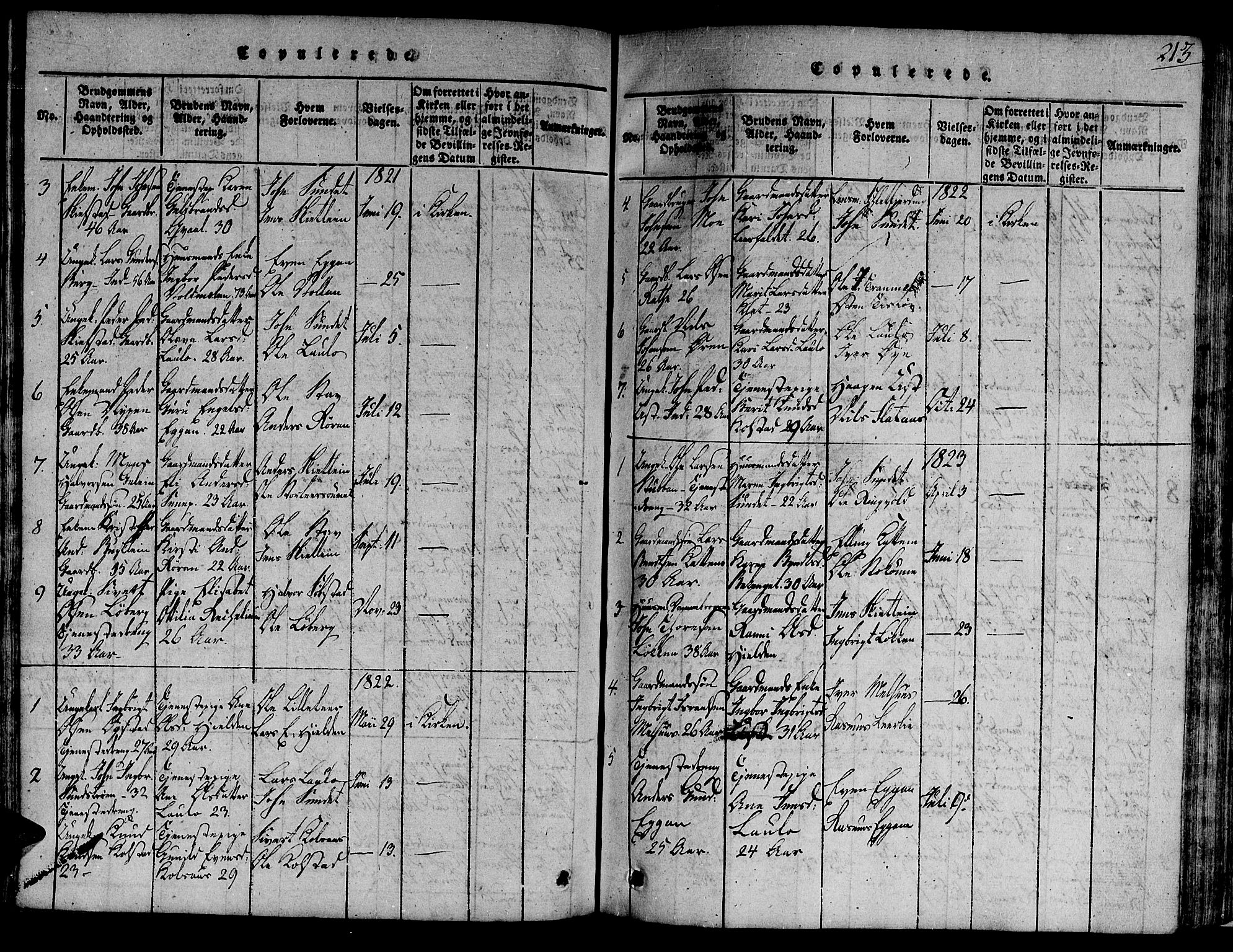 Ministerialprotokoller, klokkerbøker og fødselsregistre - Sør-Trøndelag, SAT/A-1456/691/L1067: Parish register (official) no. 691A03 /3, 1816-1826, p. 213