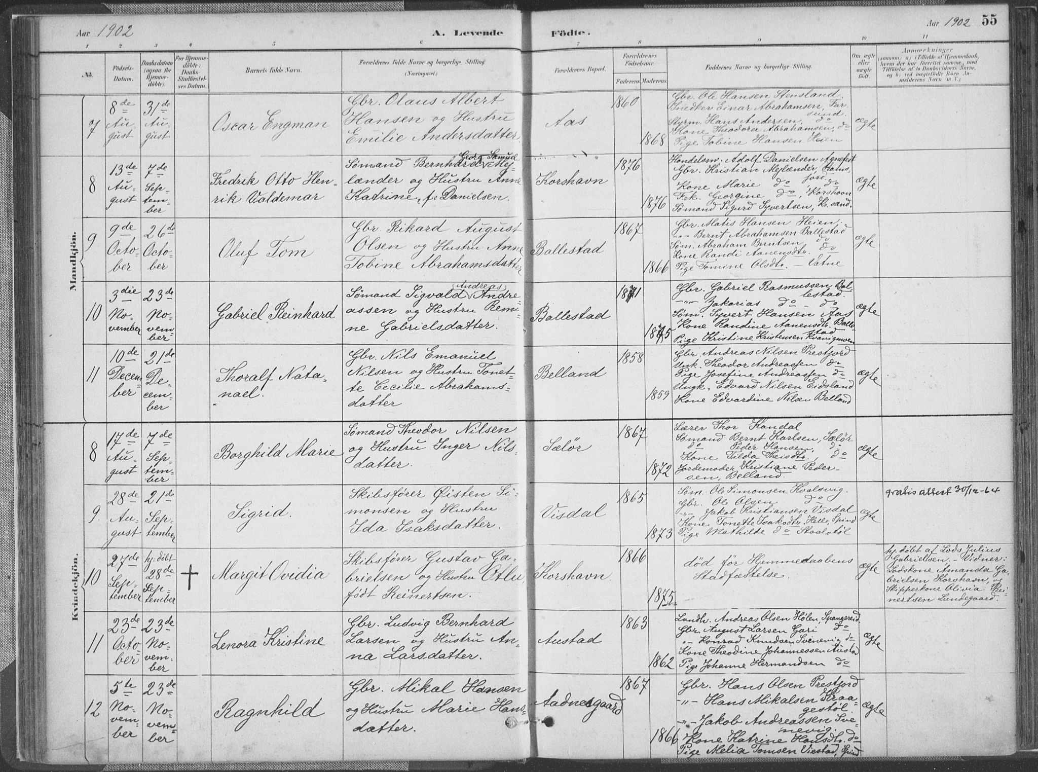 Lyngdal sokneprestkontor, SAK/1111-0029/F/Fa/Faa/L0004: Parish register (official) no. A 4, 1883-1904, p. 55