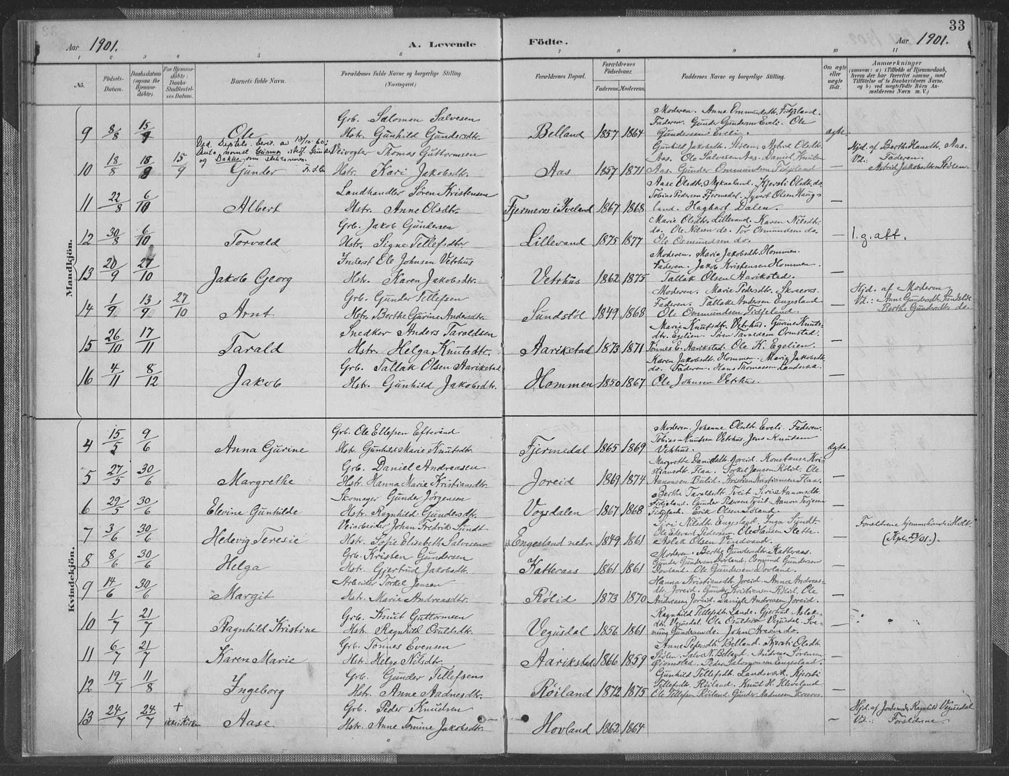 Herefoss sokneprestkontor, AV/SAK-1111-0019/F/Fa/Fab/L0004: Parish register (official) no. A 4, 1887-1909, p. 33