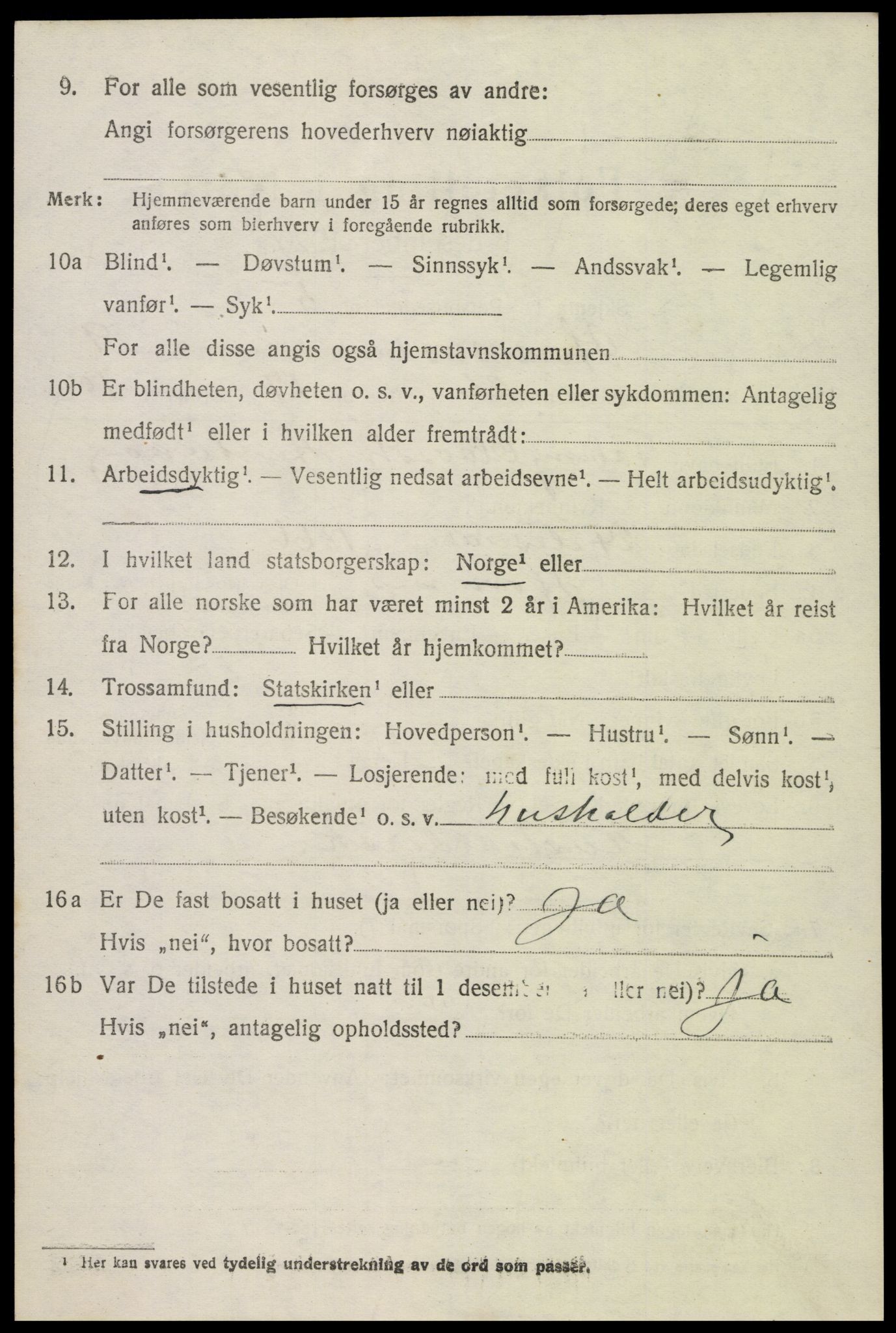 SAK, 1920 census for Hornnes, 1920, p. 2506