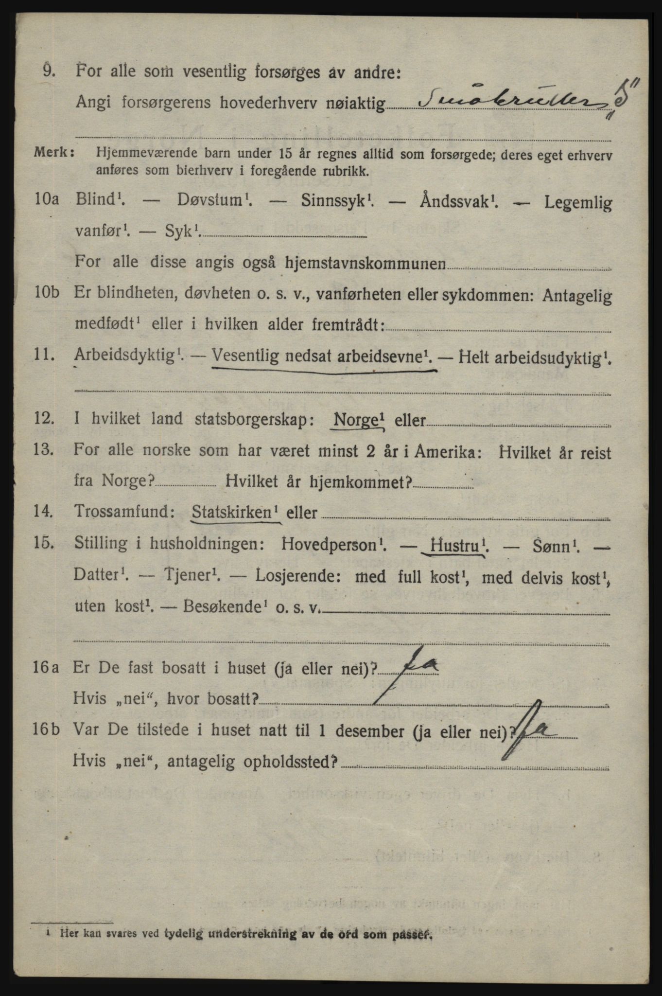 SAO, 1920 census for Skjeberg, 1920, p. 7162