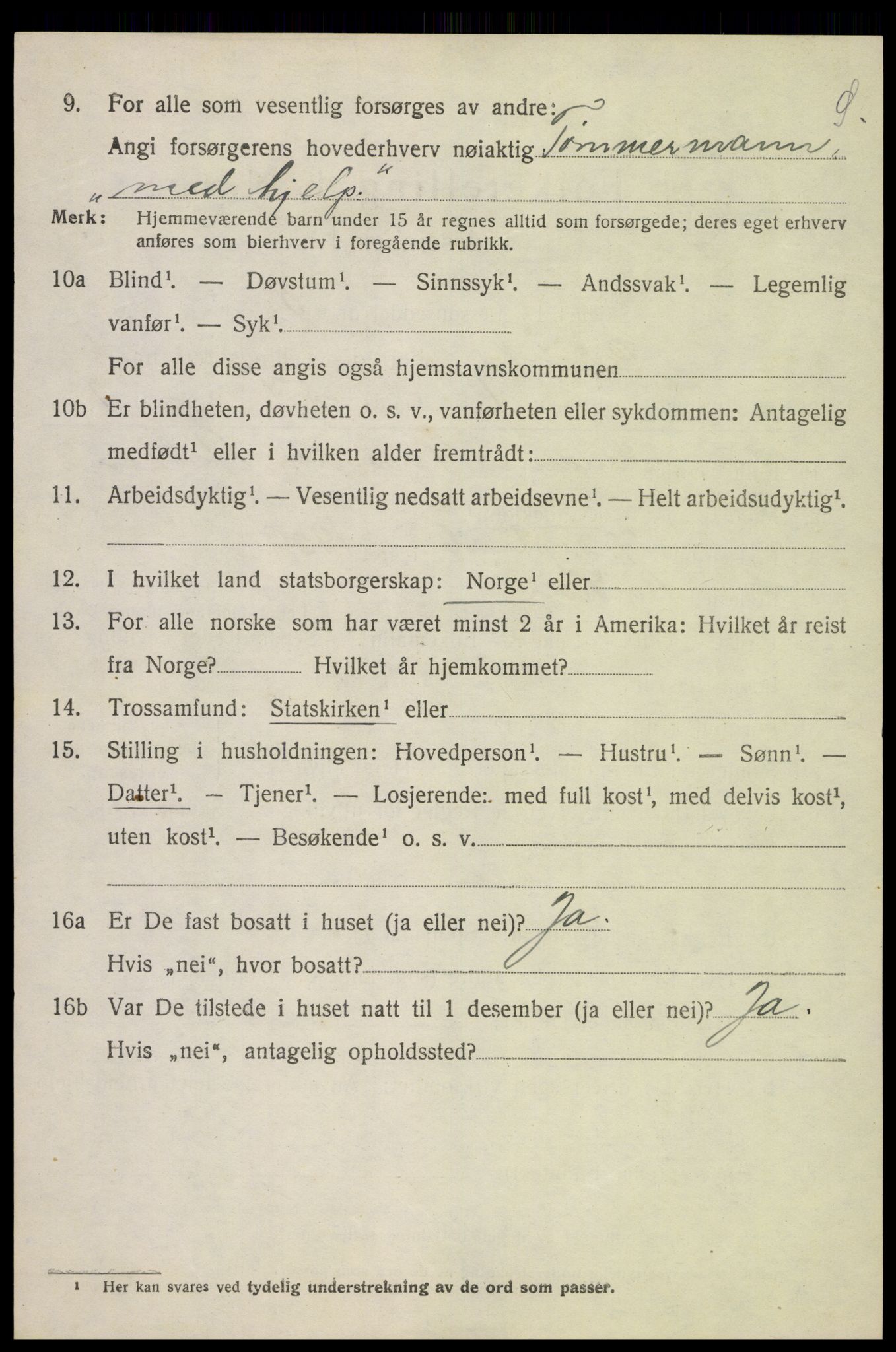 SAH, 1920 census for Skjåk, 1920, p. 2999