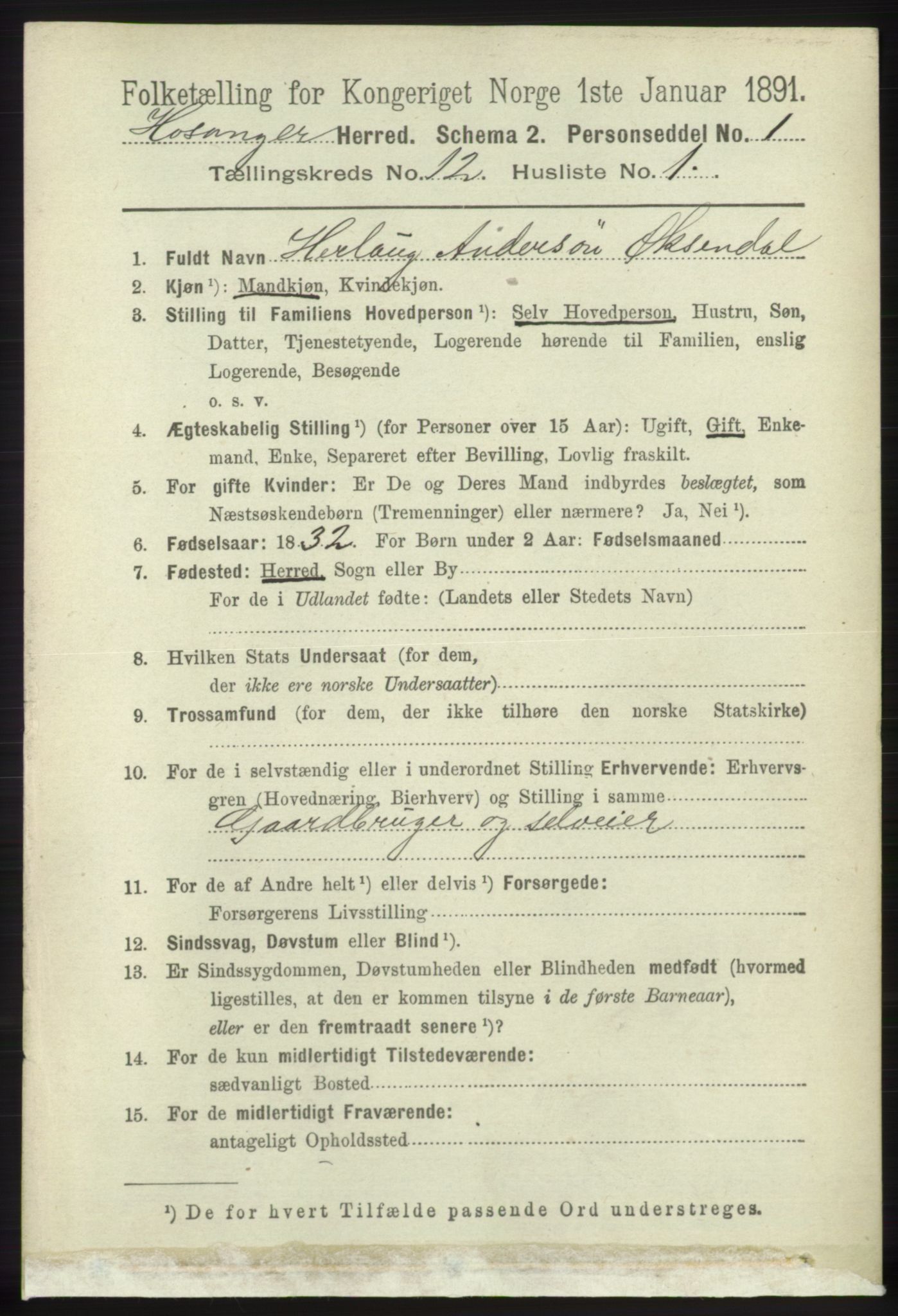 RA, 1891 census for 1253 Hosanger, 1891, p. 3998