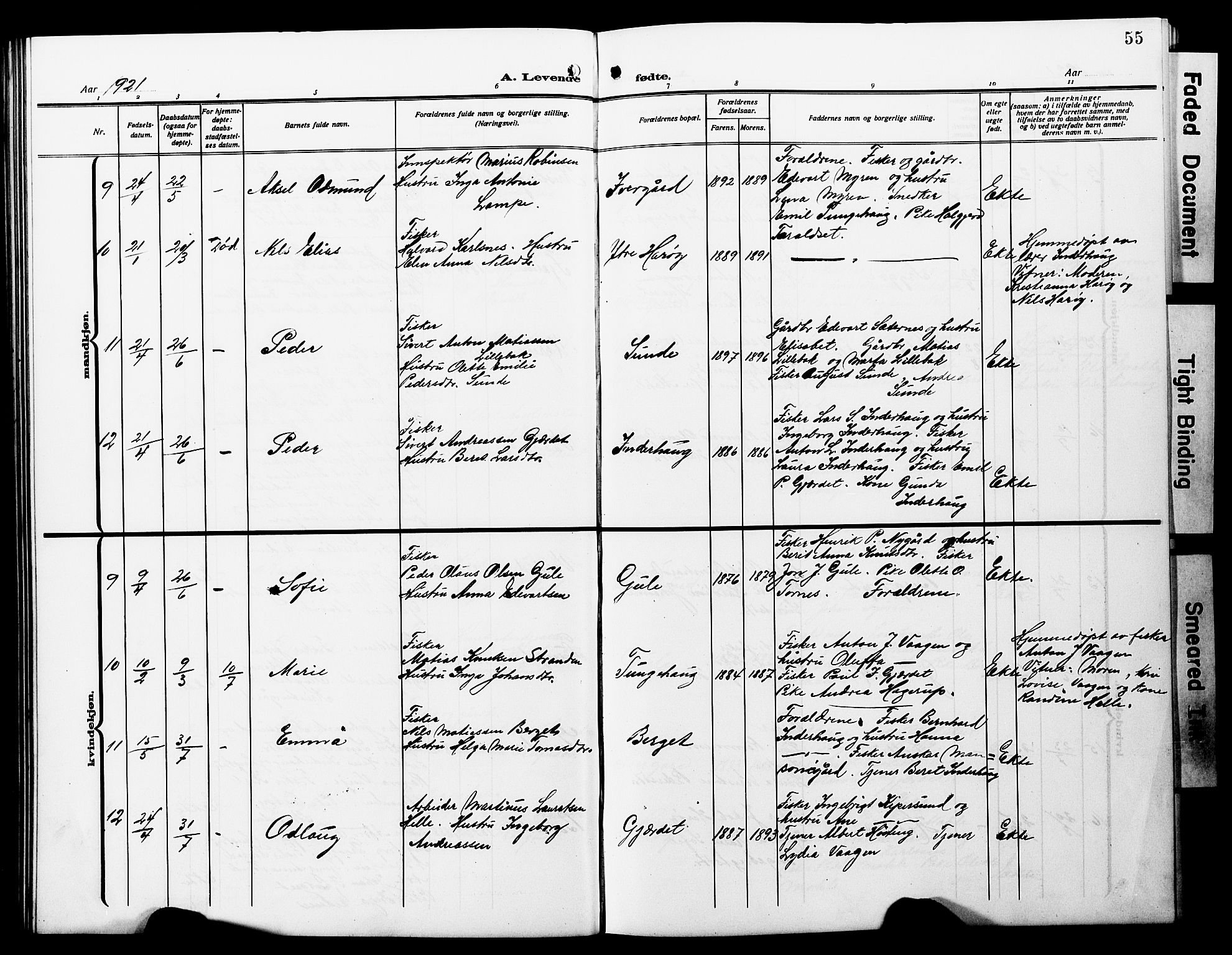 Ministerialprotokoller, klokkerbøker og fødselsregistre - Møre og Romsdal, SAT/A-1454/566/L0774: Parish register (copy) no. 566C03, 1910-1929, p. 55
