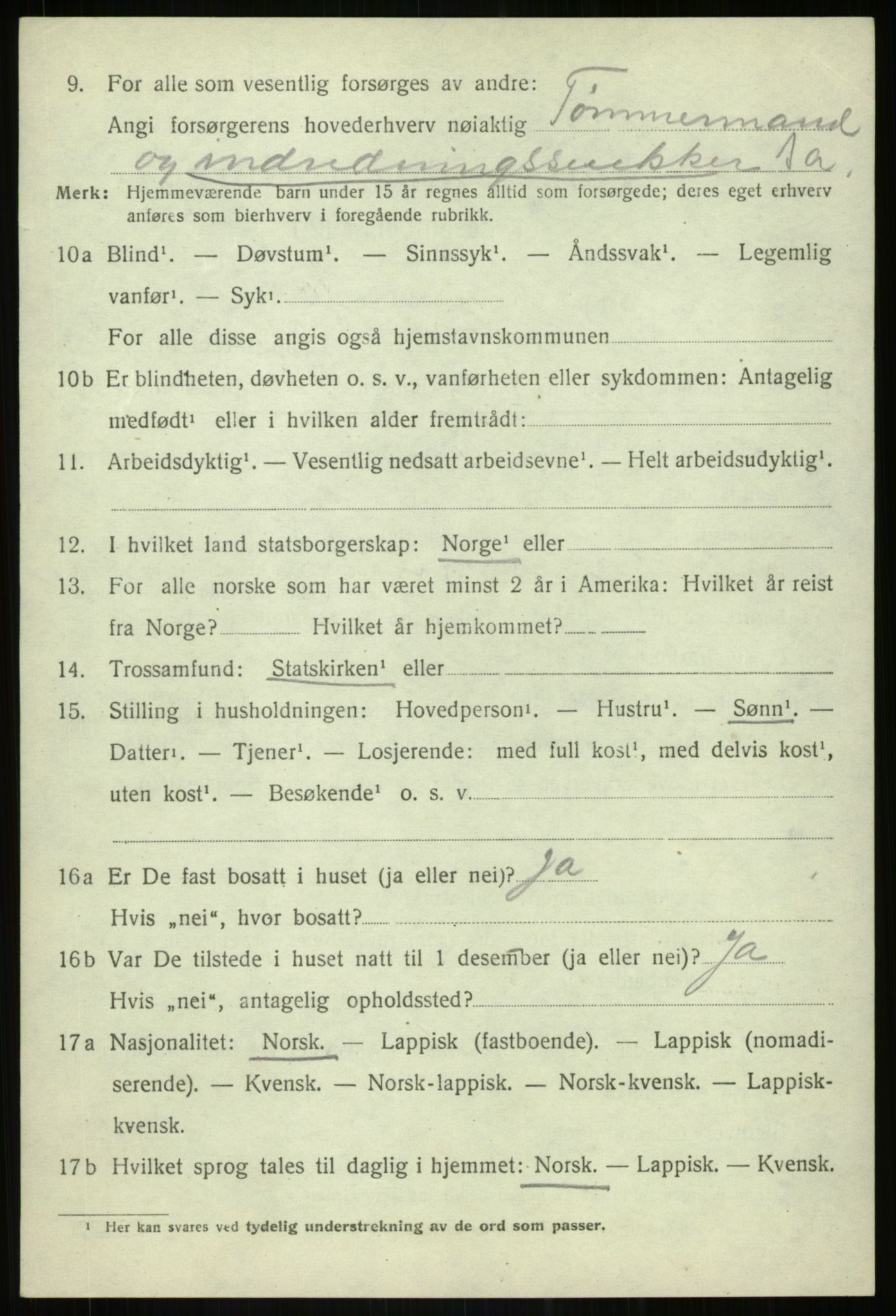 SATØ, 1920 census for Lenvik, 1920, p. 12243