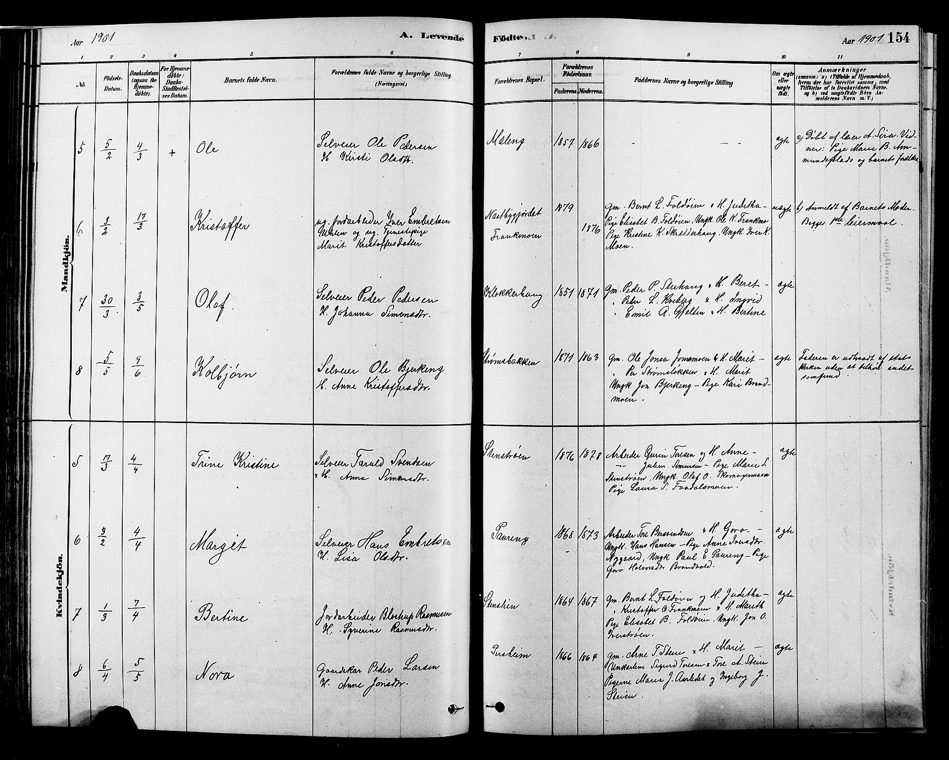 Alvdal prestekontor, AV/SAH-PREST-060/H/Ha/Hab/L0003: Parish register (copy) no. 3, 1878-1907, p. 154