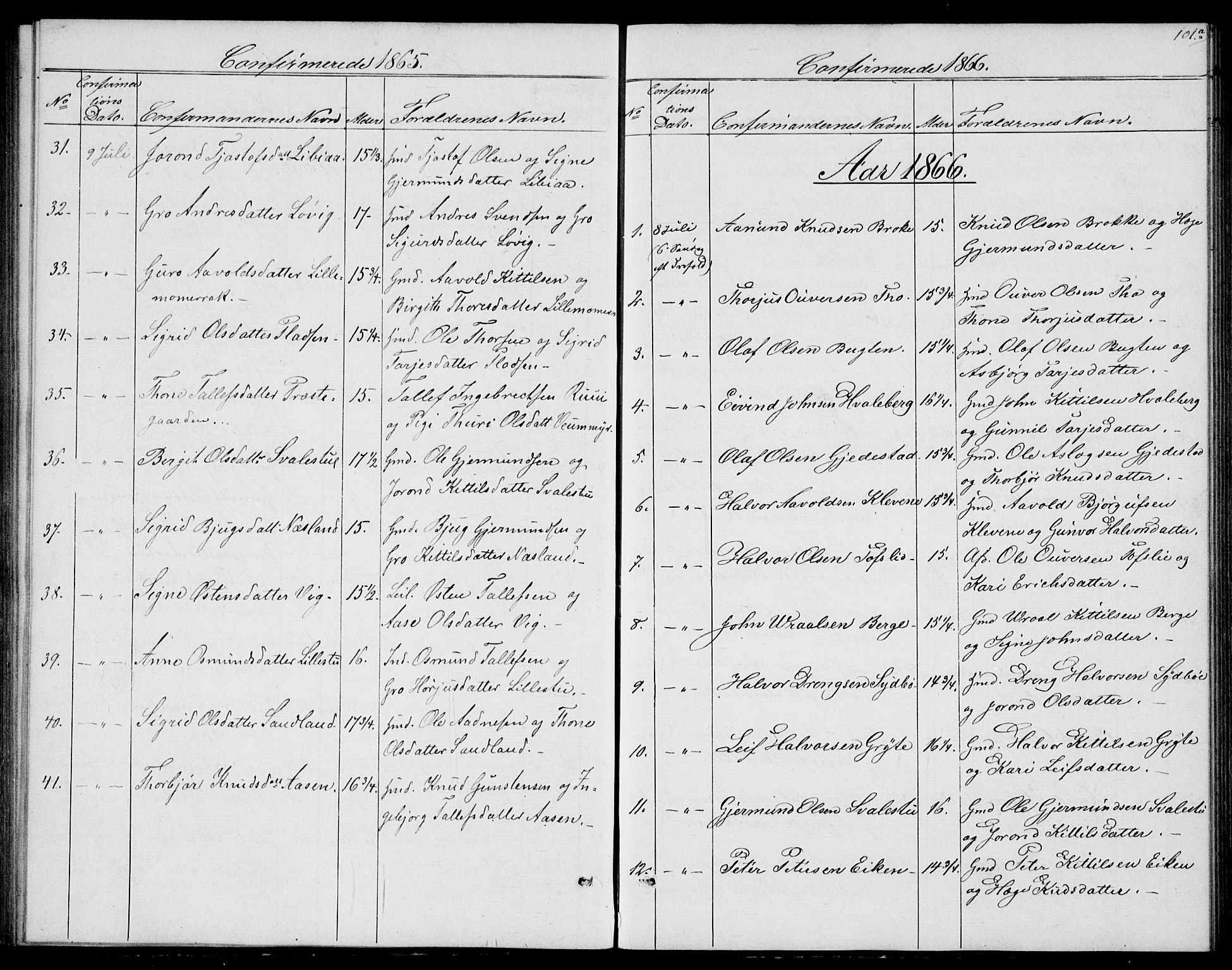 Fyresdal kirkebøker, SAKO/A-263/G/Ga/L0004: Parish register (copy) no. I 4, 1864-1892, p. 101