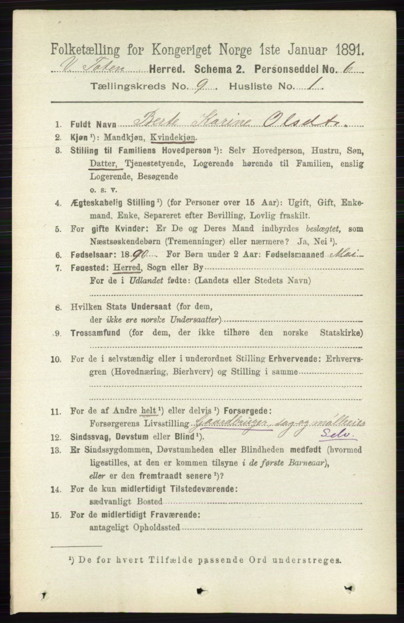 RA, 1891 census for 0529 Vestre Toten, 1891, p. 5551