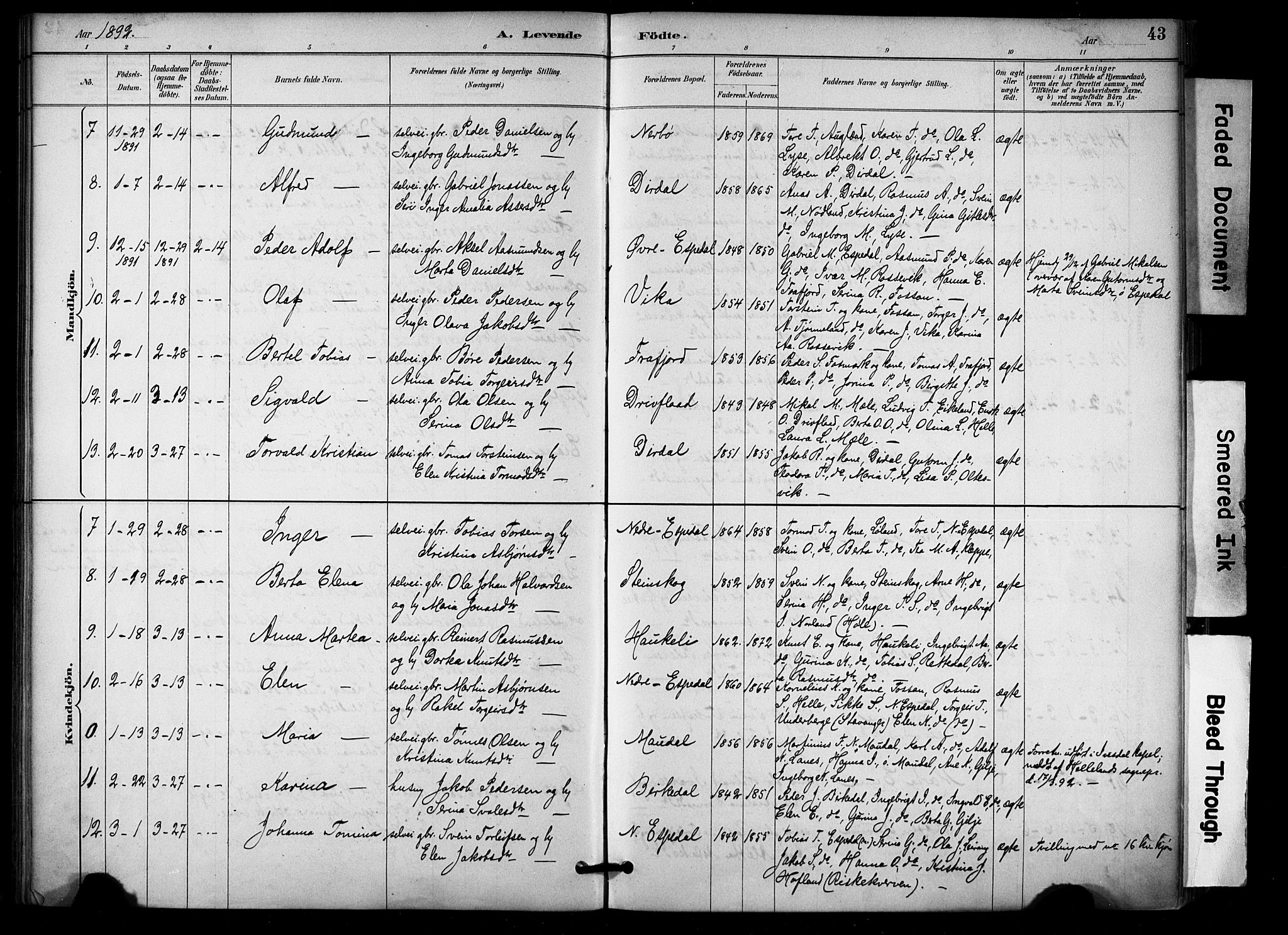 Høgsfjord sokneprestkontor, SAST/A-101624/H/Ha/Haa/L0006: Parish register (official) no. A 6, 1885-1897, p. 43