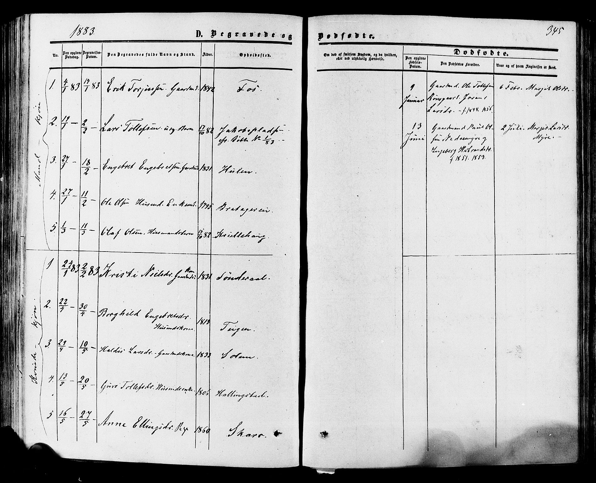 Hol kirkebøker, SAKO/A-227/F/Fa/L0002: Parish register (official) no. I 2, 1870-1886, p. 345