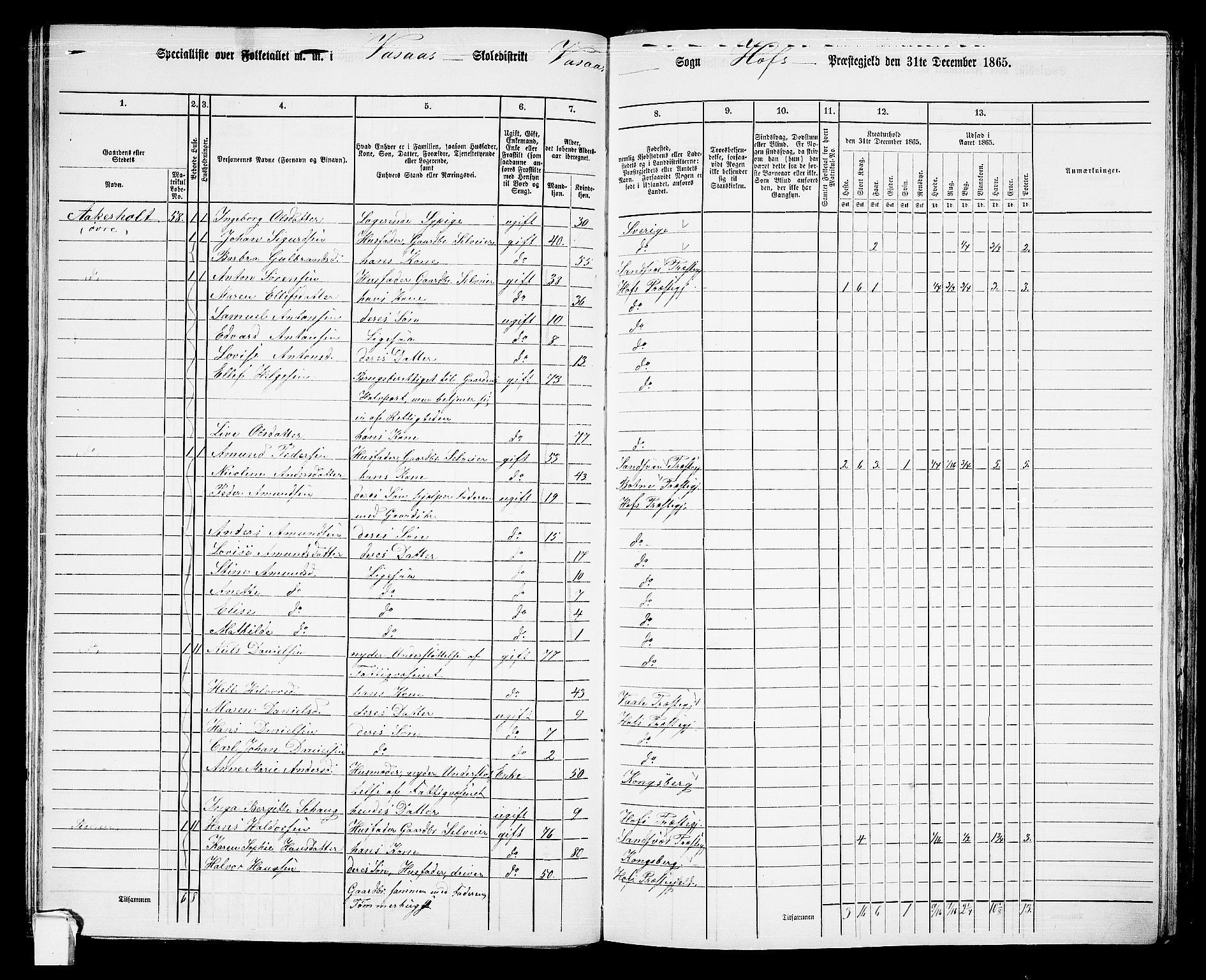 RA, 1865 census for Hof, 1865, p. 67