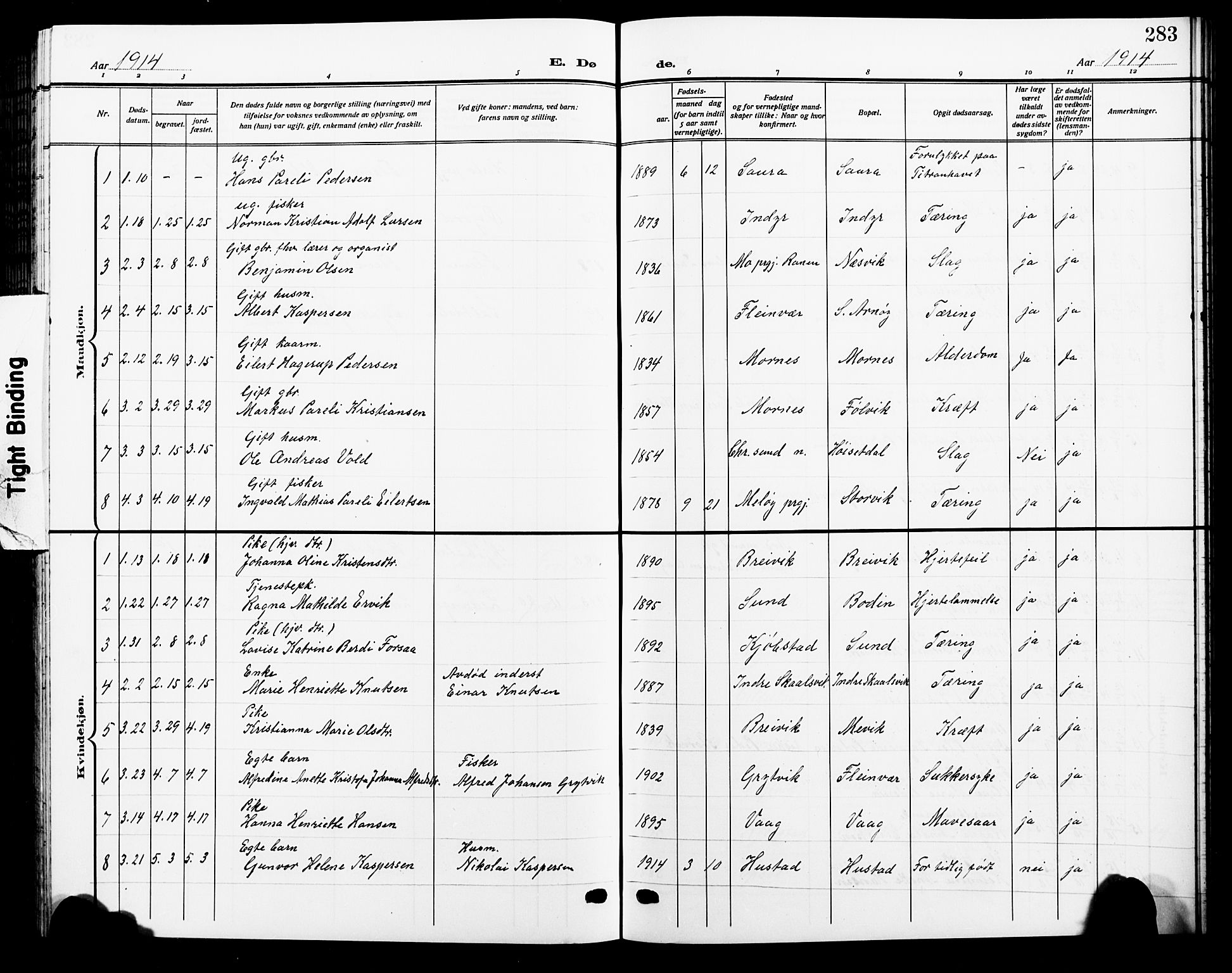 Ministerialprotokoller, klokkerbøker og fødselsregistre - Nordland, AV/SAT-A-1459/805/L0110: Parish register (copy) no. 805C06, 1909-1924, p. 283