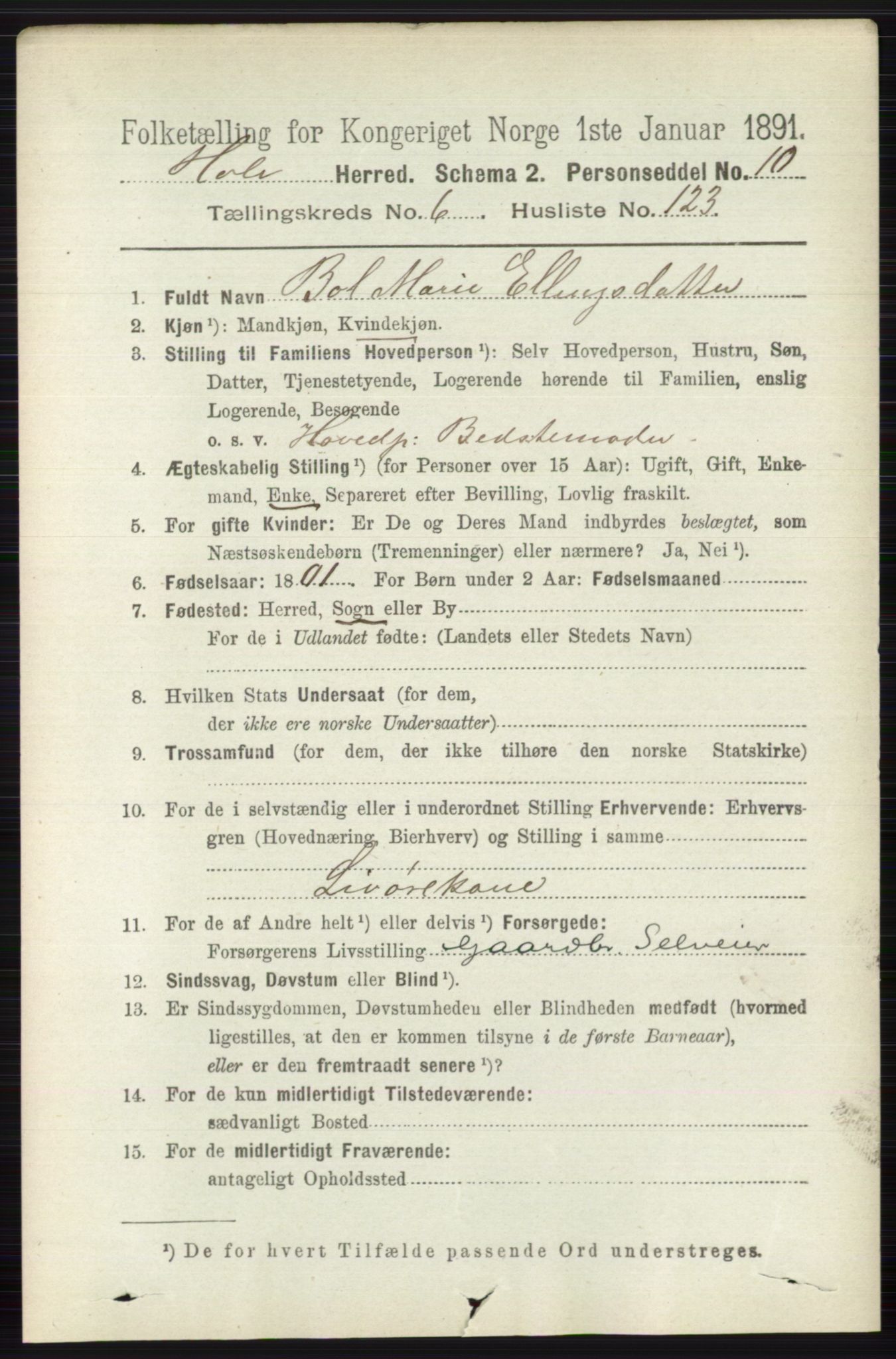 RA, 1891 census for 0612 Hole, 1891, p. 3876