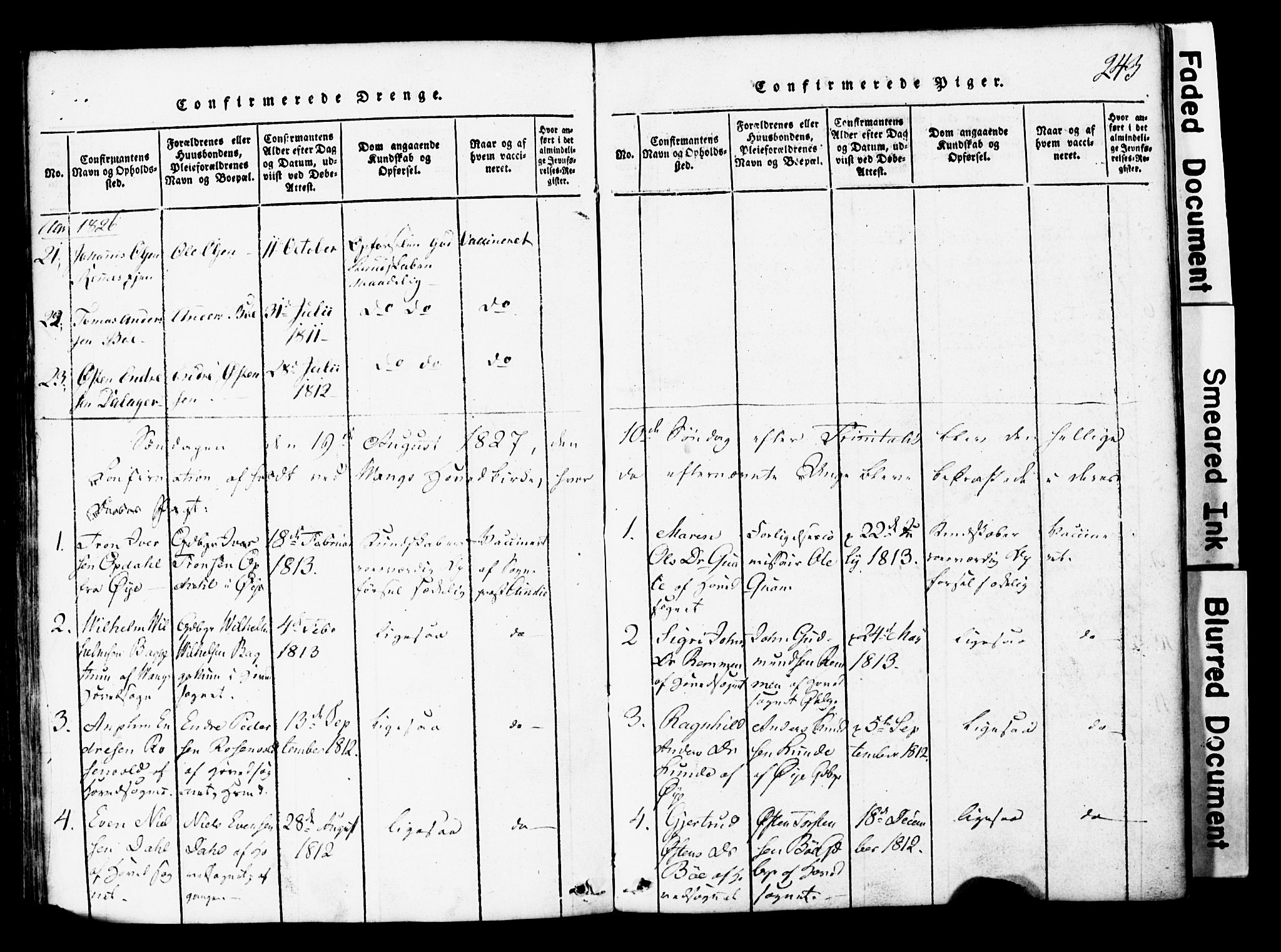 Vang prestekontor, Valdres, SAH/PREST-140/H/Hb/L0001: Parish register (copy) no. 1, 1814-1820, p. 243