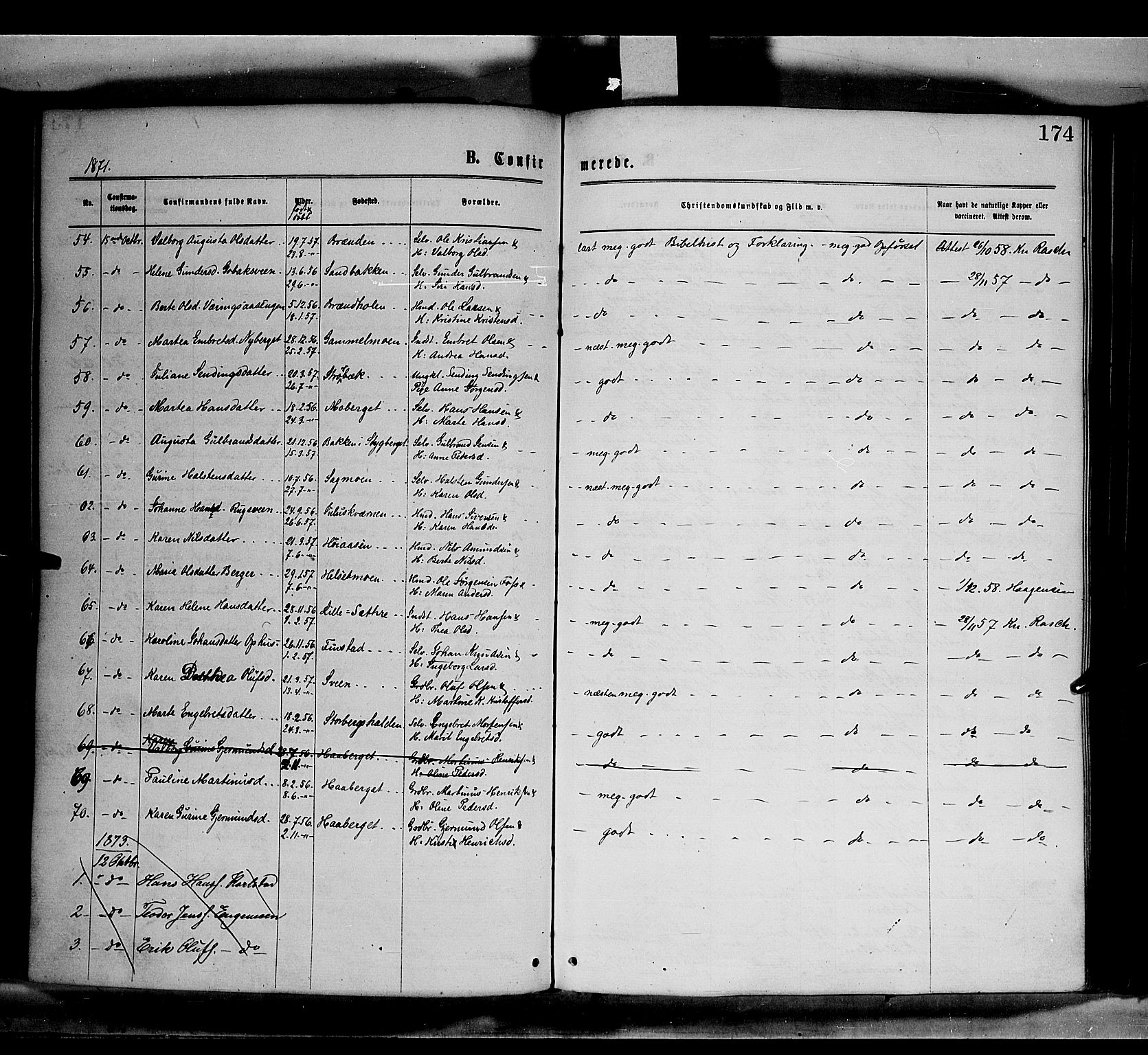 Elverum prestekontor, AV/SAH-PREST-044/H/Ha/Haa/L0011: Parish register (official) no. 11, 1869-1879, p. 174