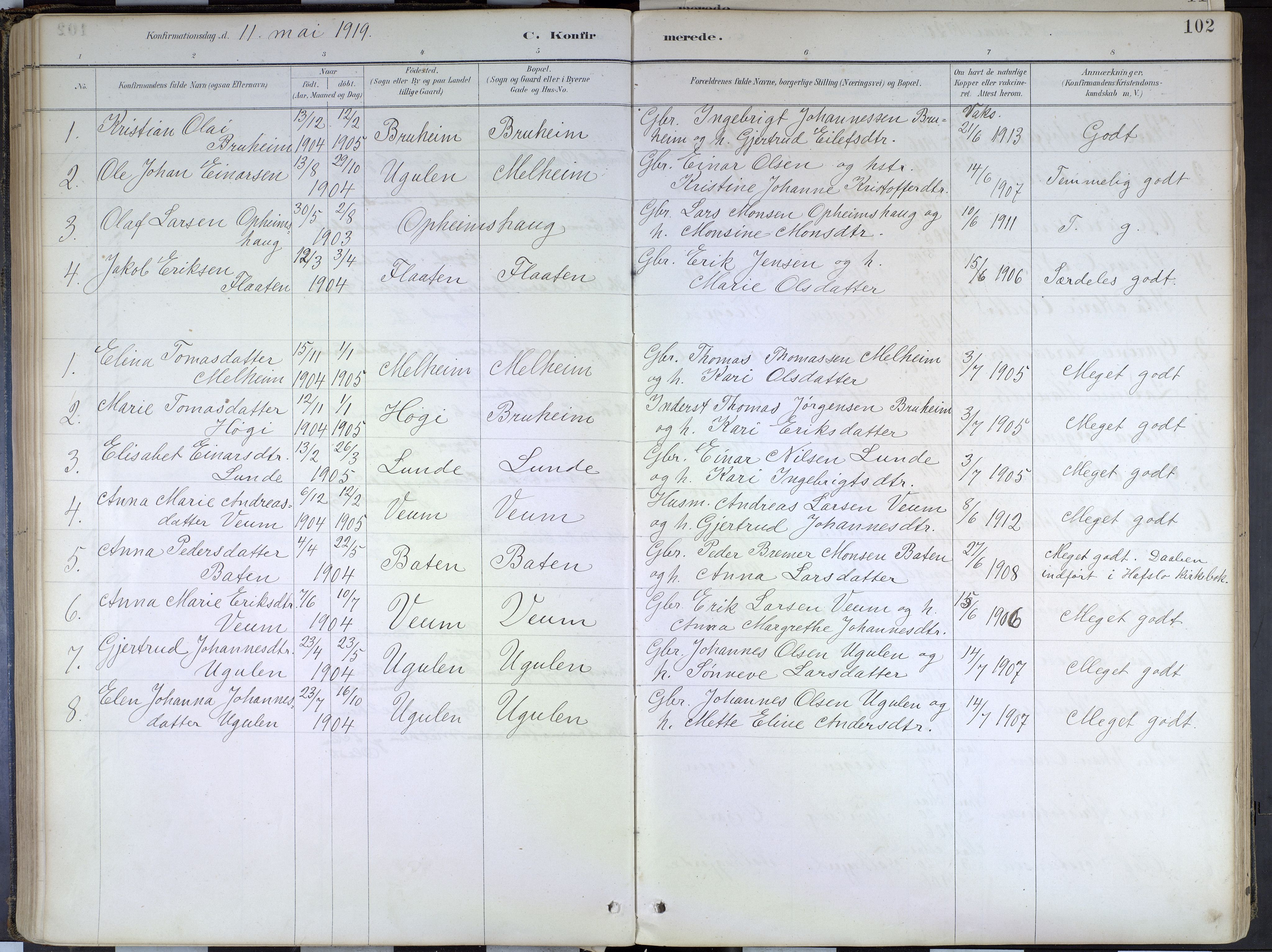 Hafslo sokneprestembete, SAB/A-80301/H/Haa/Haad/L0001: Parish register (official) no. D 1, 1886-1934, p. 102