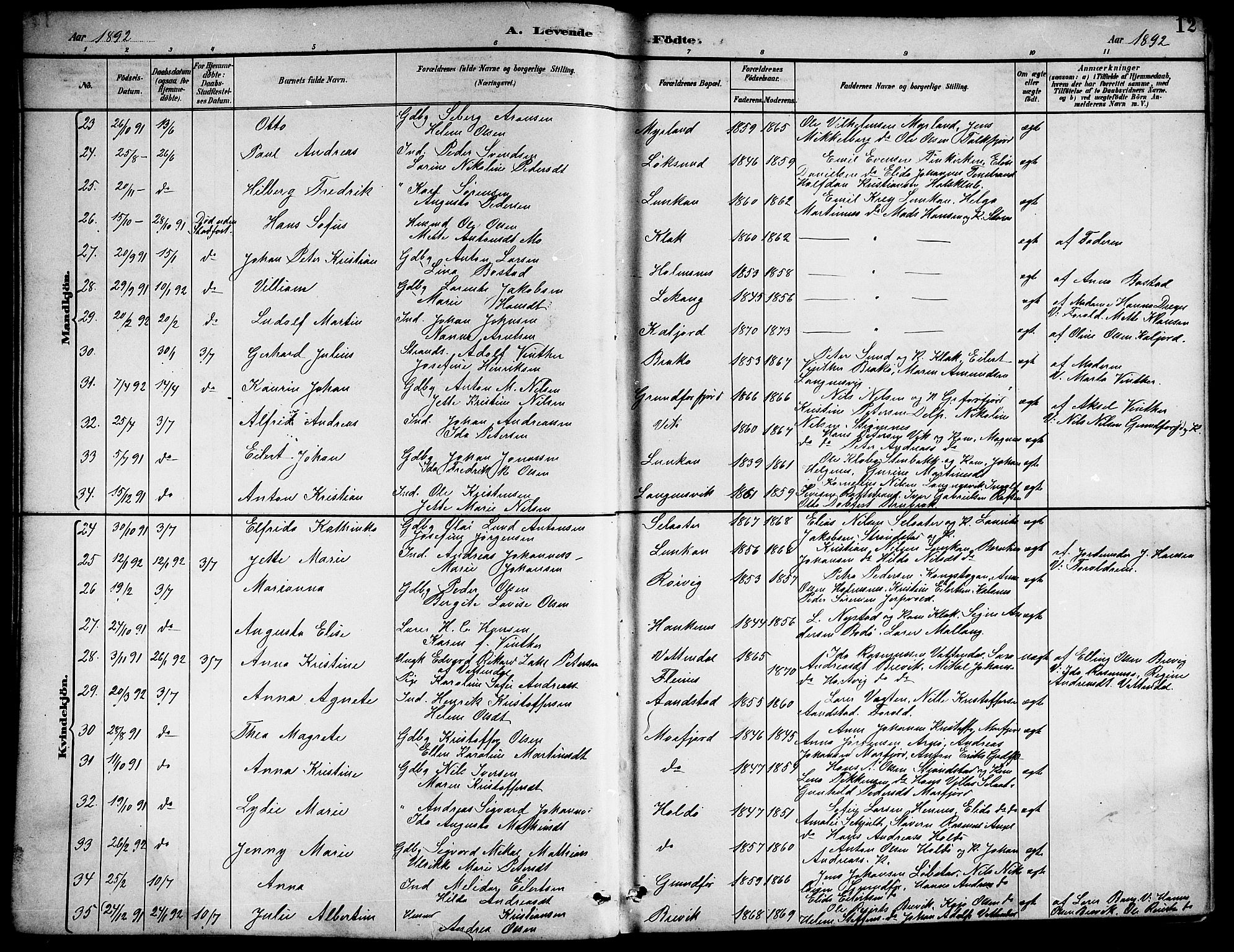 Ministerialprotokoller, klokkerbøker og fødselsregistre - Nordland, AV/SAT-A-1459/888/L1268: Parish register (copy) no. 888C06, 1891-1908, p. 12