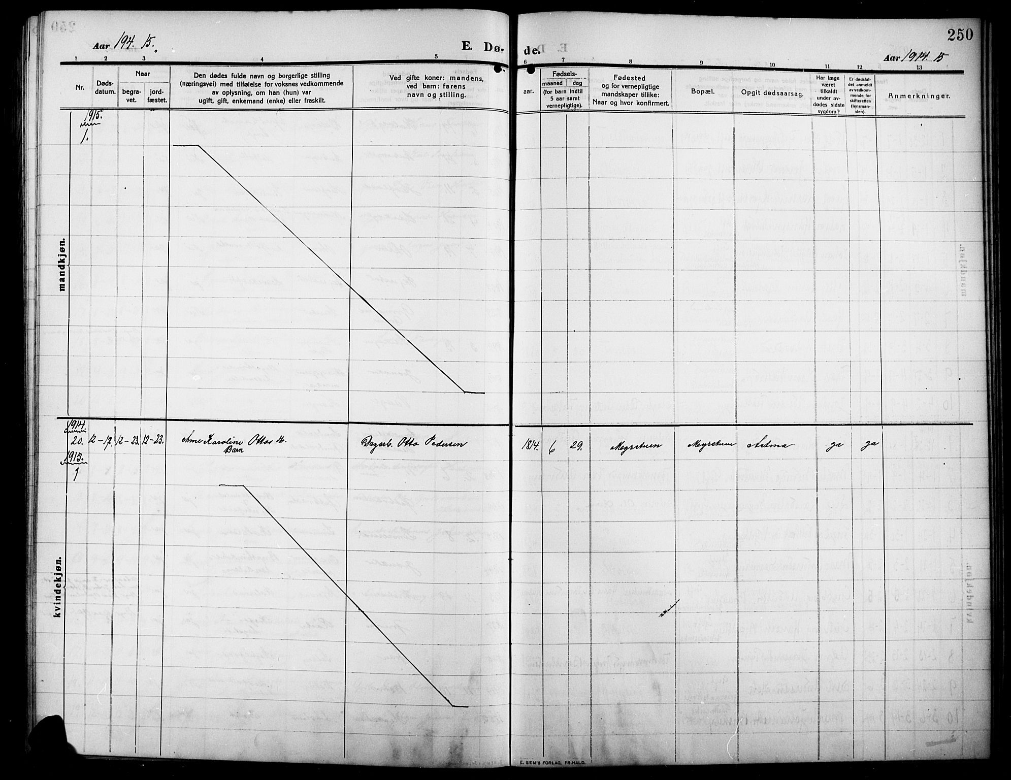 Lunner prestekontor, SAH/PREST-118/H/Ha/Hab/L0001: Parish register (copy) no. 1, 1909-1922, p. 250