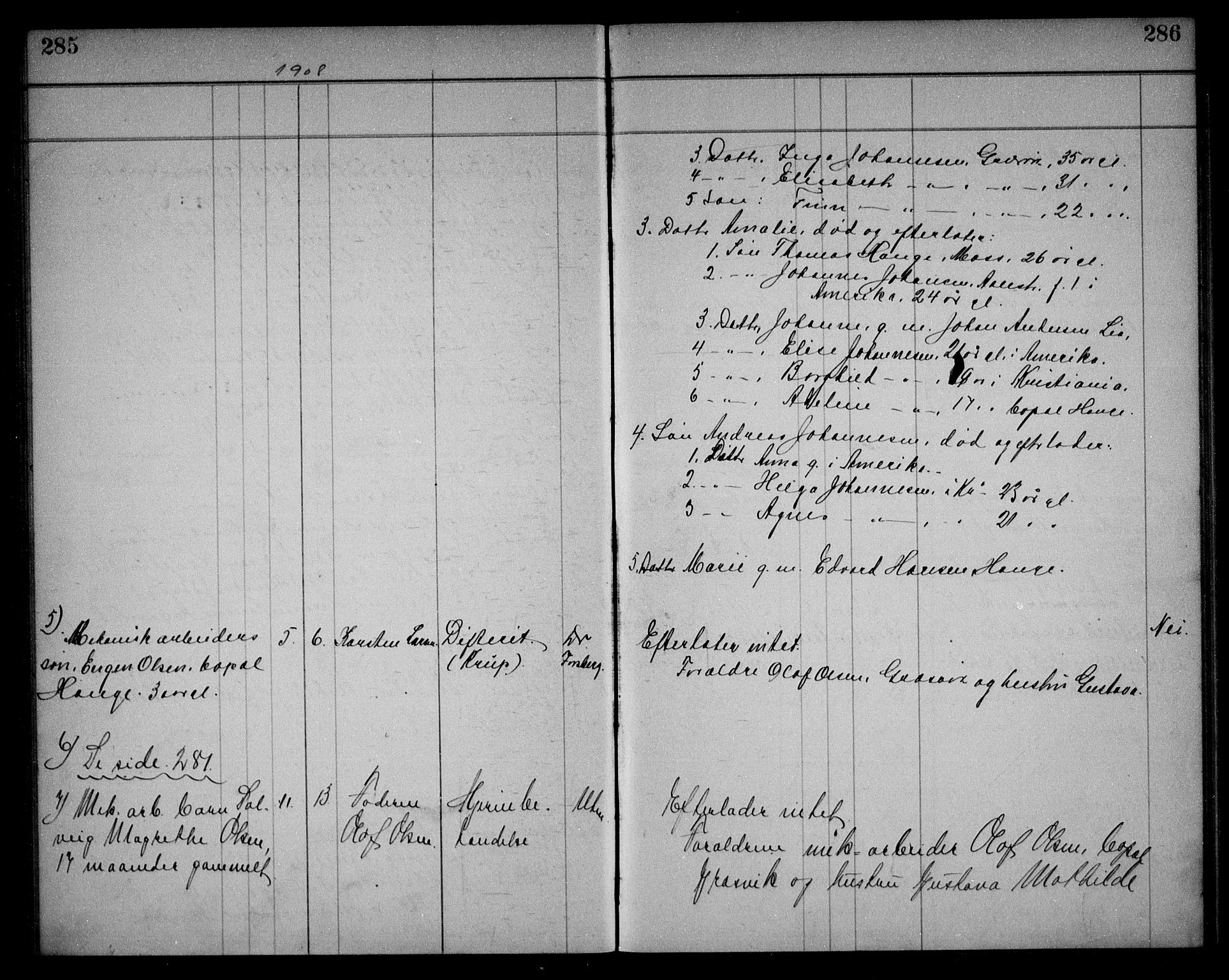 Onsøy lensmannskontor, AV/SAO-A-10007/H/Ha/L0001: Dødsfallsprotokoll, 1897-1909, p. 285-286