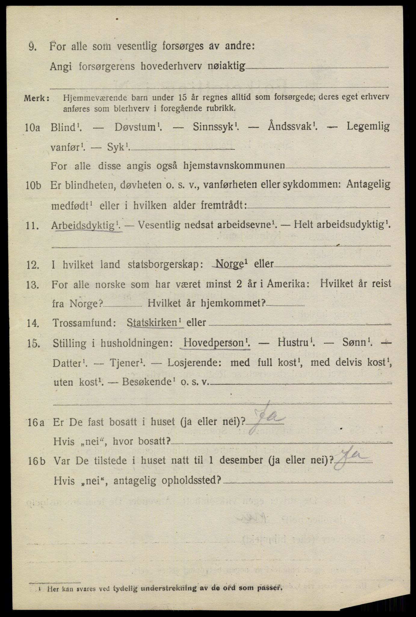 SAKO, 1920 census for Heddal, 1920, p. 1951