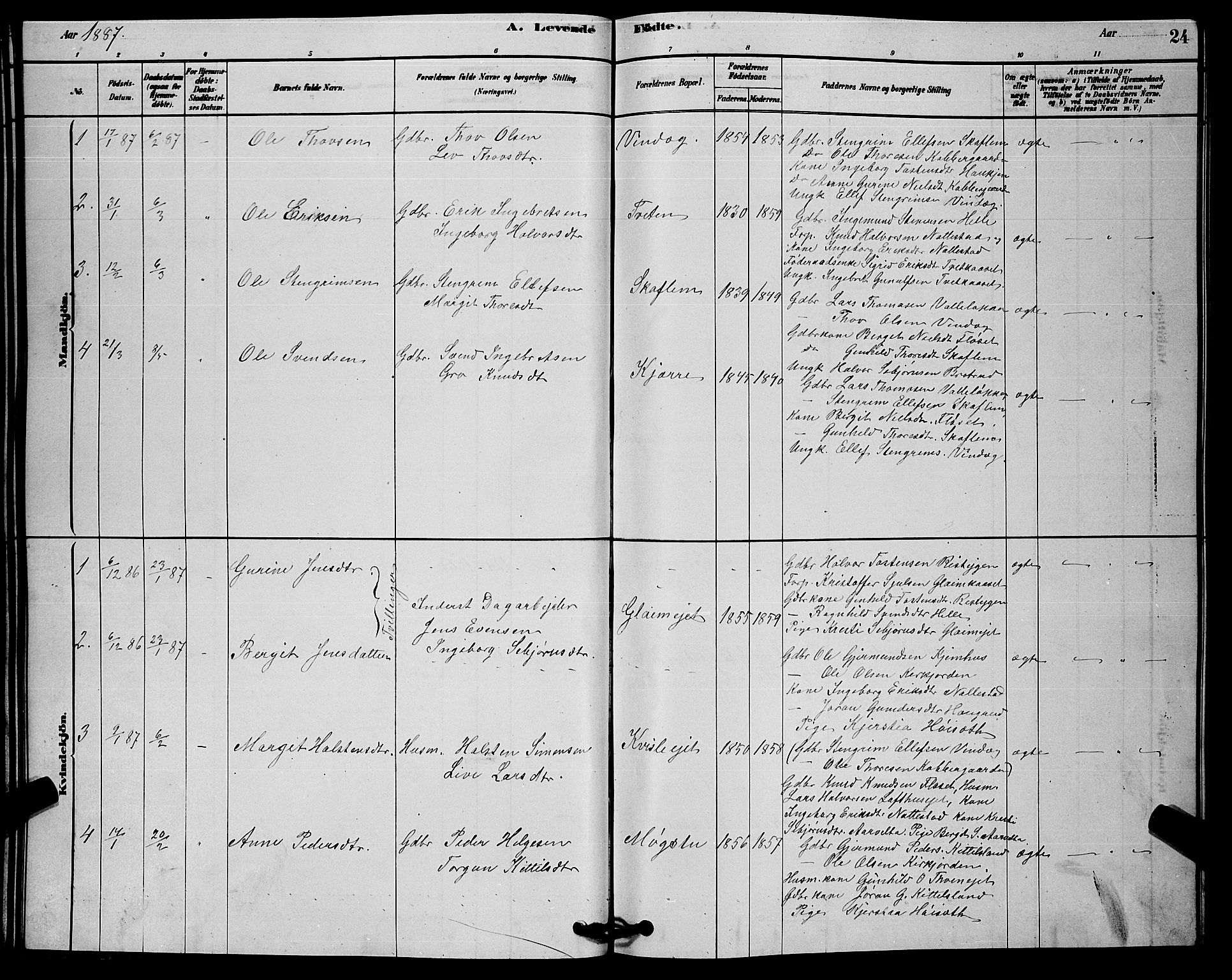 Rollag kirkebøker, SAKO/A-240/G/Gb/L0002: Parish register (copy) no. II 2, 1878-1898, p. 24