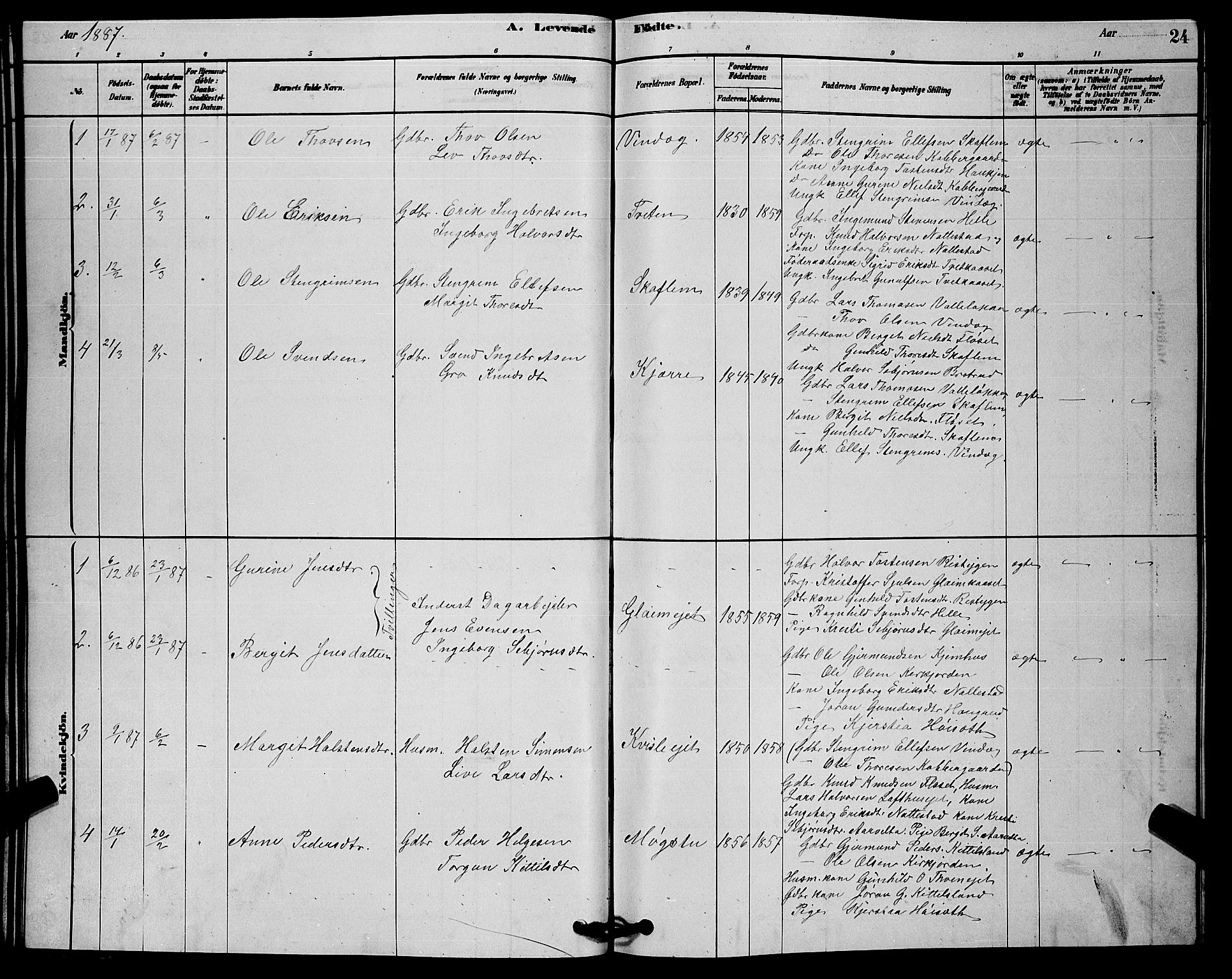 Rollag kirkebøker, AV/SAKO-A-240/G/Gb/L0002: Parish register (copy) no. II 2, 1878-1898, p. 24