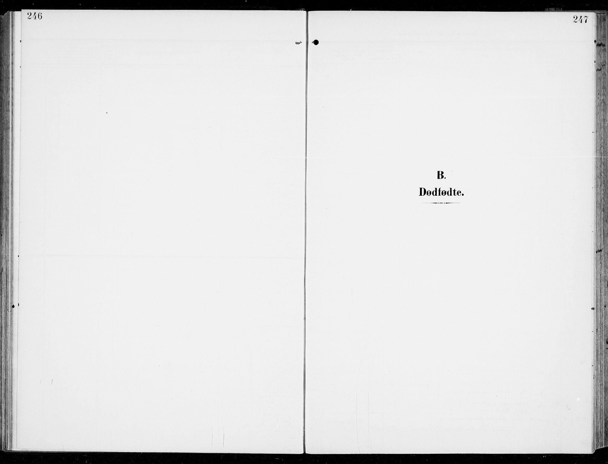 Sem kirkebøker, SAKO/A-5/F/Fb/L0006: Parish register (official) no. II 6, 1905-1918, p. 246-247