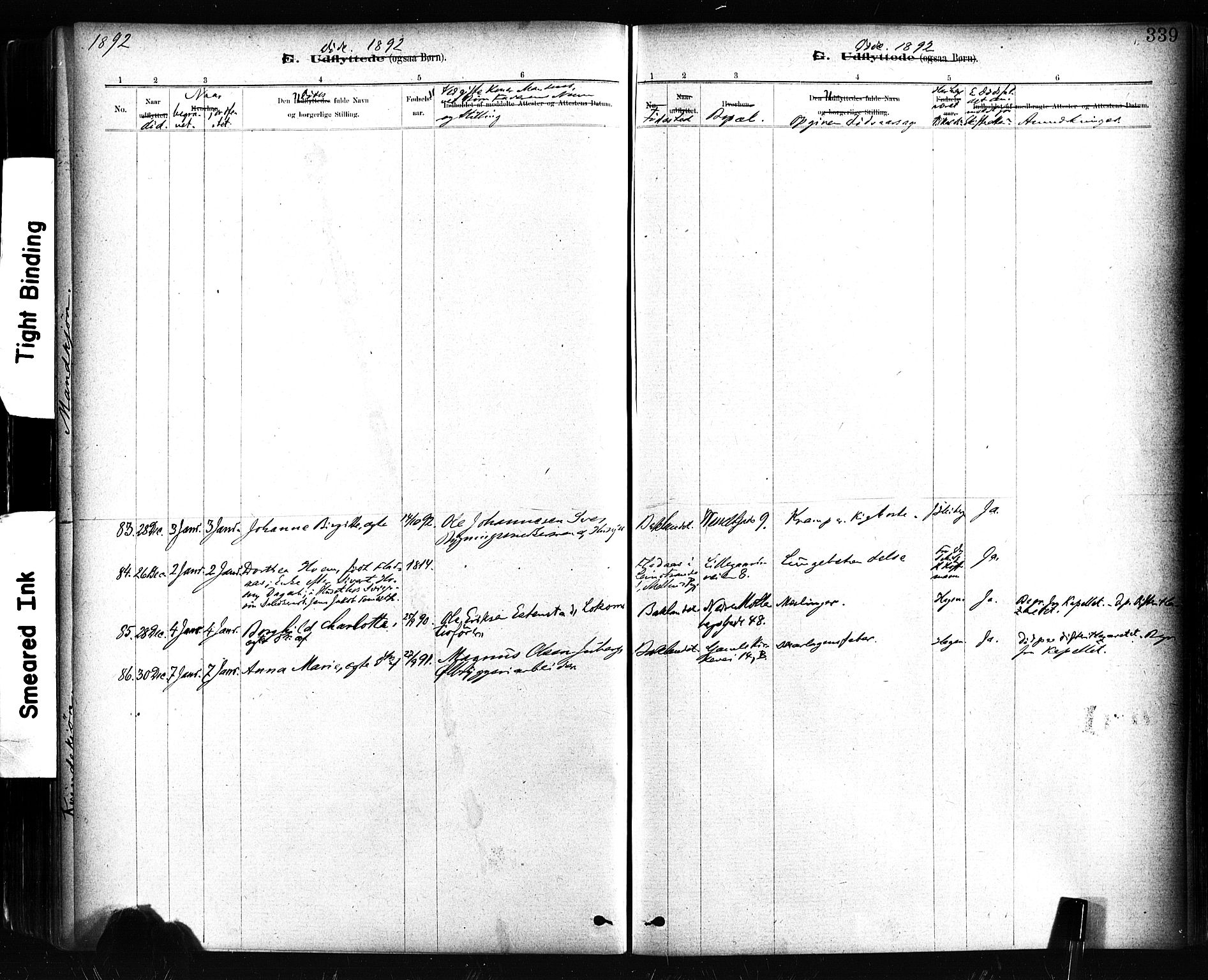 Ministerialprotokoller, klokkerbøker og fødselsregistre - Sør-Trøndelag, AV/SAT-A-1456/604/L0189: Parish register (official) no. 604A10, 1878-1892, p. 339