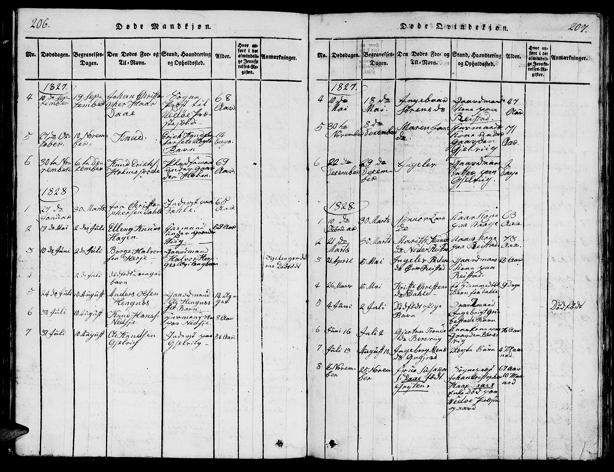 Ministerialprotokoller, klokkerbøker og fødselsregistre - Møre og Romsdal, AV/SAT-A-1454/547/L0610: Parish register (copy) no. 547C01, 1818-1839, p. 206-207