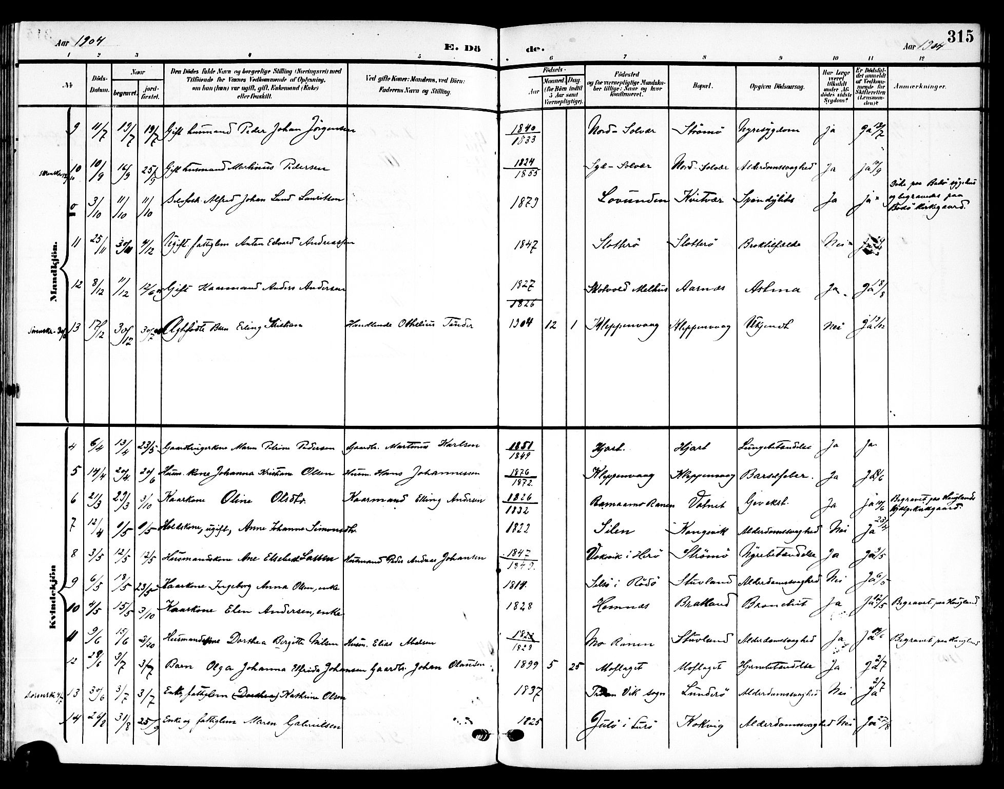 Ministerialprotokoller, klokkerbøker og fødselsregistre - Nordland, AV/SAT-A-1459/839/L0569: Parish register (official) no. 839A06, 1903-1922, p. 315