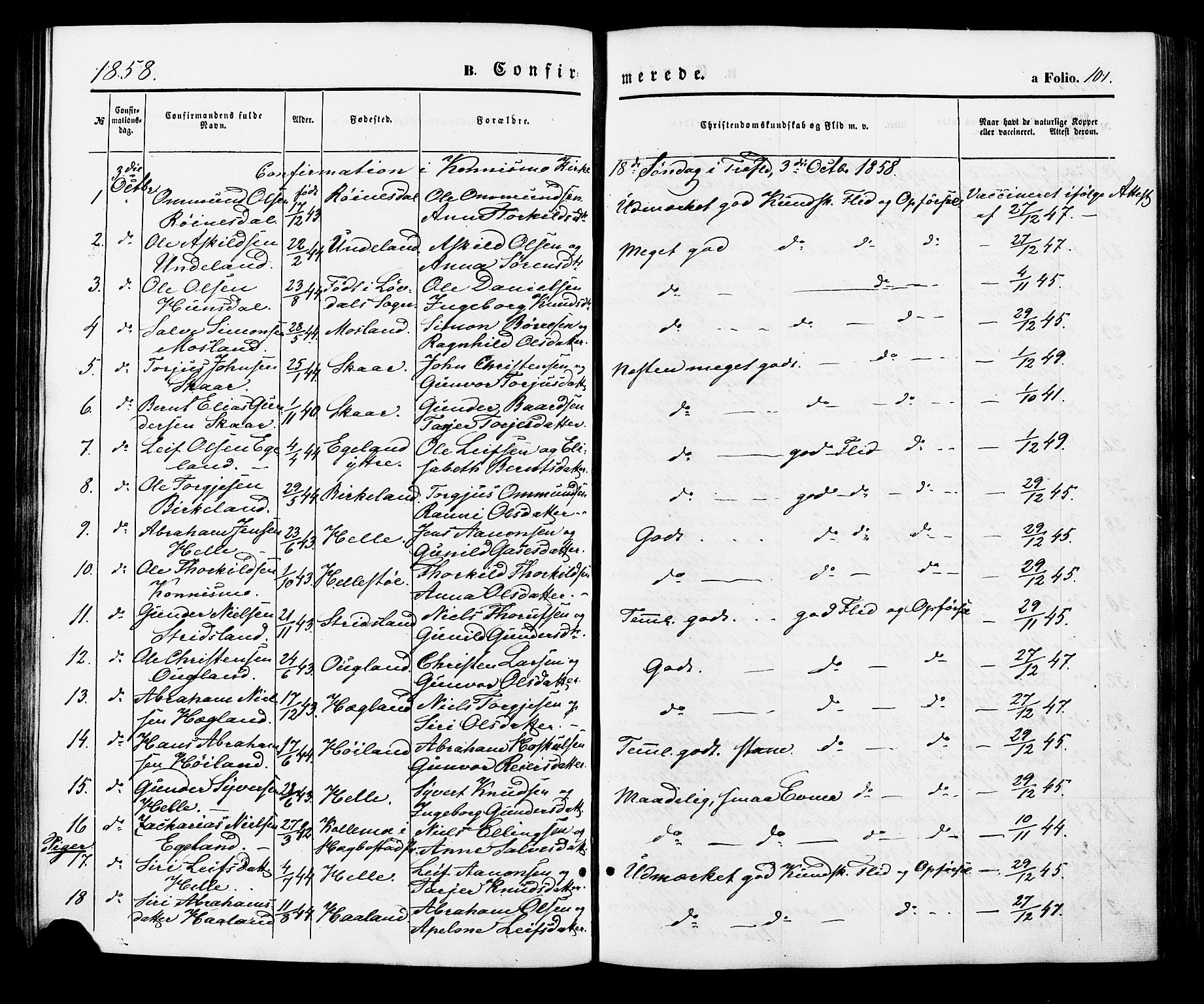 Nord-Audnedal sokneprestkontor, SAK/1111-0032/F/Fa/Faa/L0002: Parish register (official) no. A 2, 1857-1882, p. 101