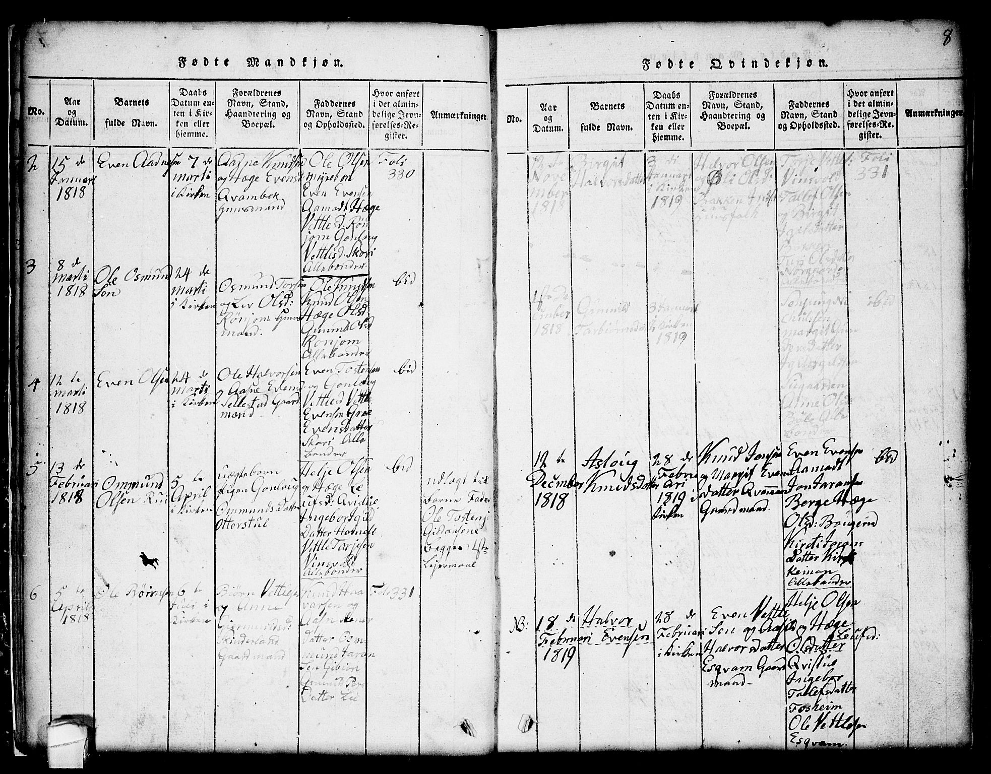 Seljord kirkebøker, SAKO/A-20/G/Gc/L0001: Parish register (copy) no. III 1, 1815-1849, p. 8
