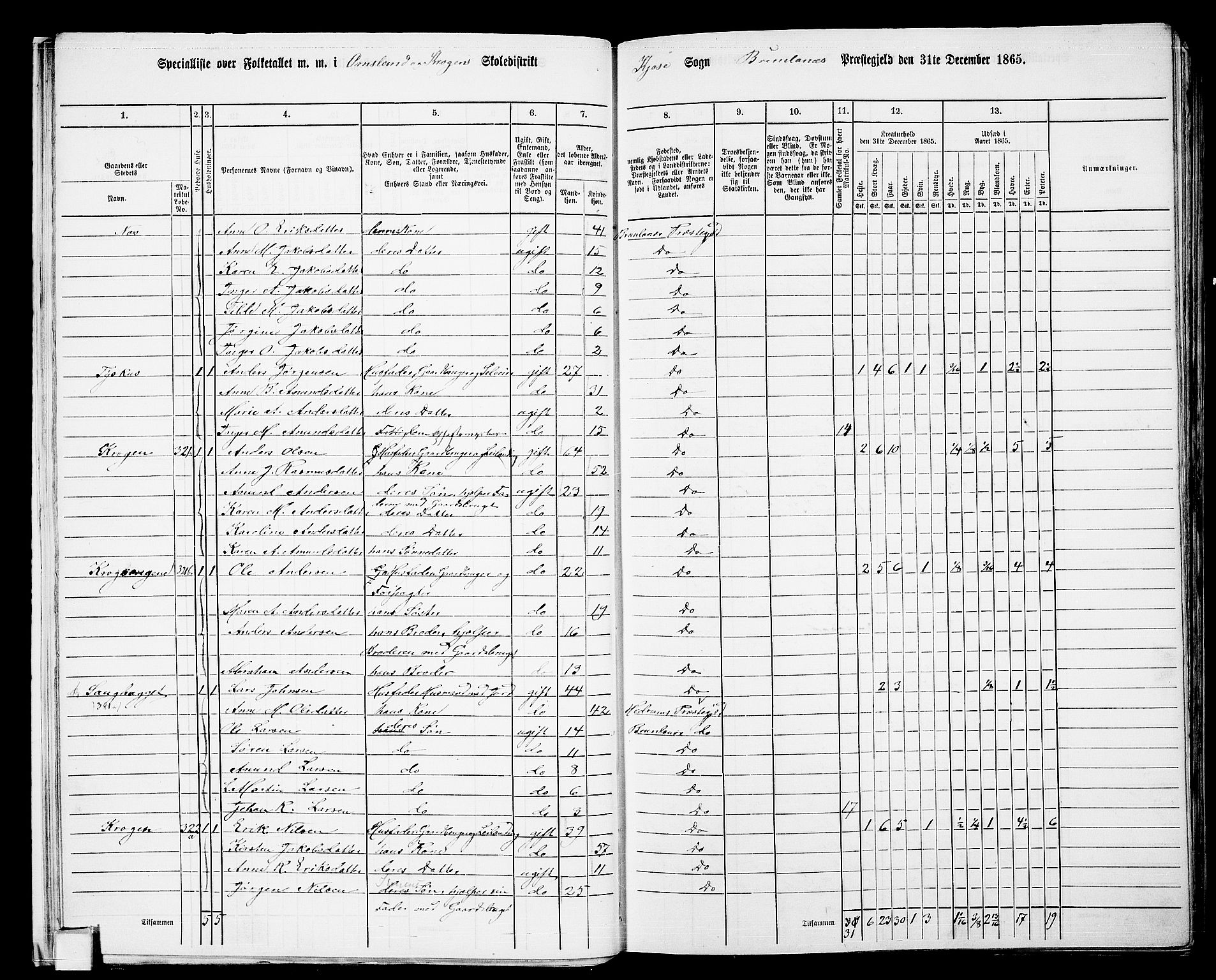 RA, 1865 census for Brunlanes, 1865, p. 20