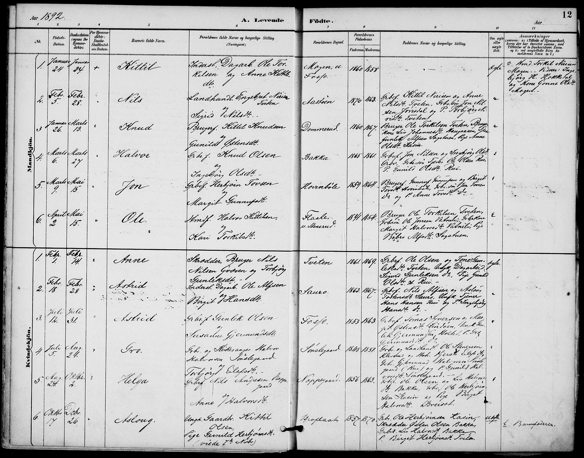 Gransherad kirkebøker, SAKO/A-267/F/Fb/L0005: Parish register (official) no. II 5, 1887-1916, p. 12