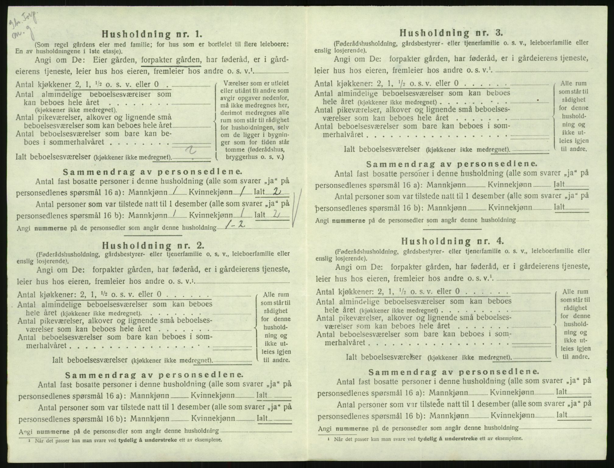 SAK, 1920 census for Hornnes, 1920, p. 282