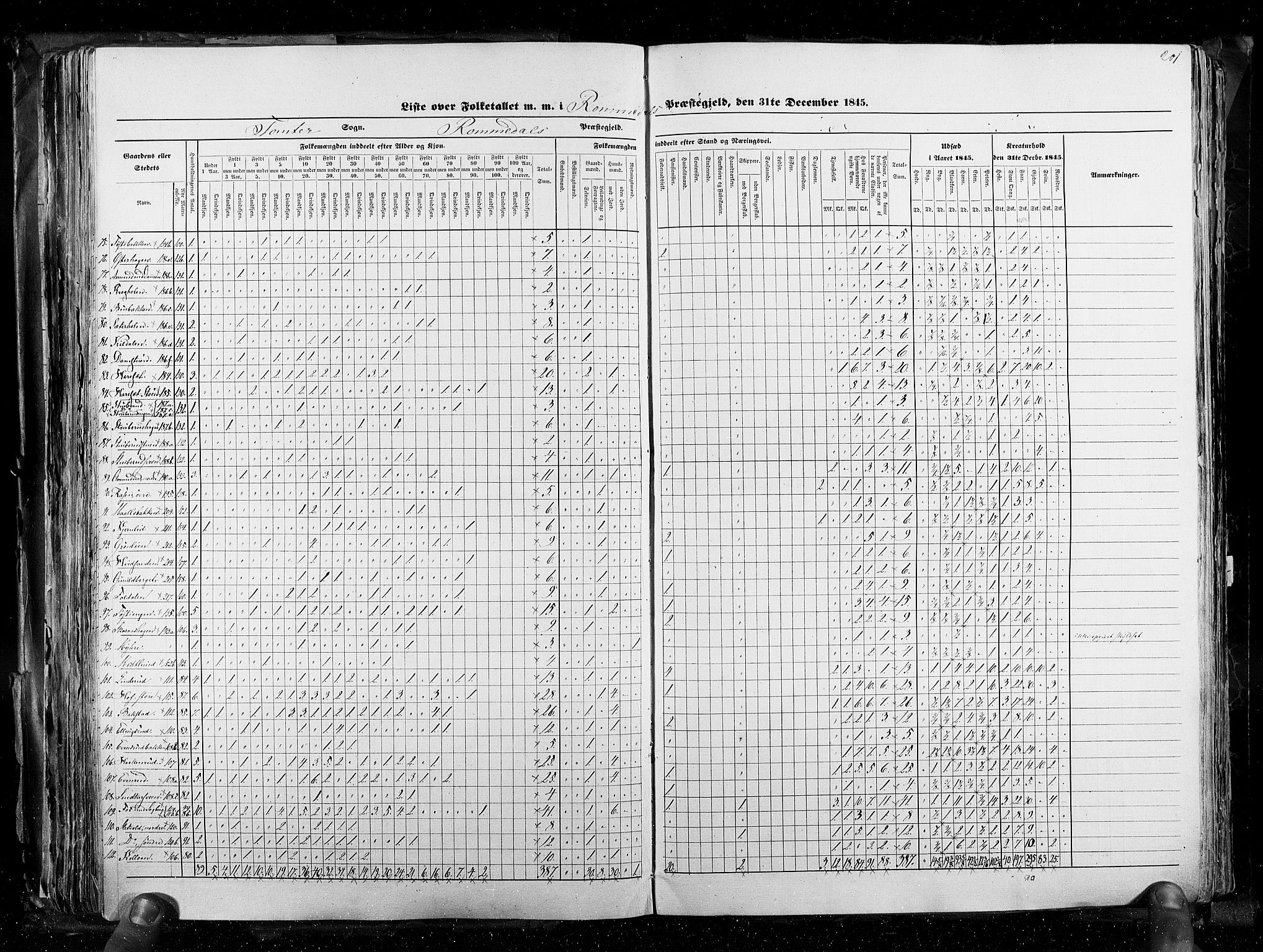 RA, Census 1845, vol. 3: Hedemarken amt og Kristians amt, 1845, p. 201