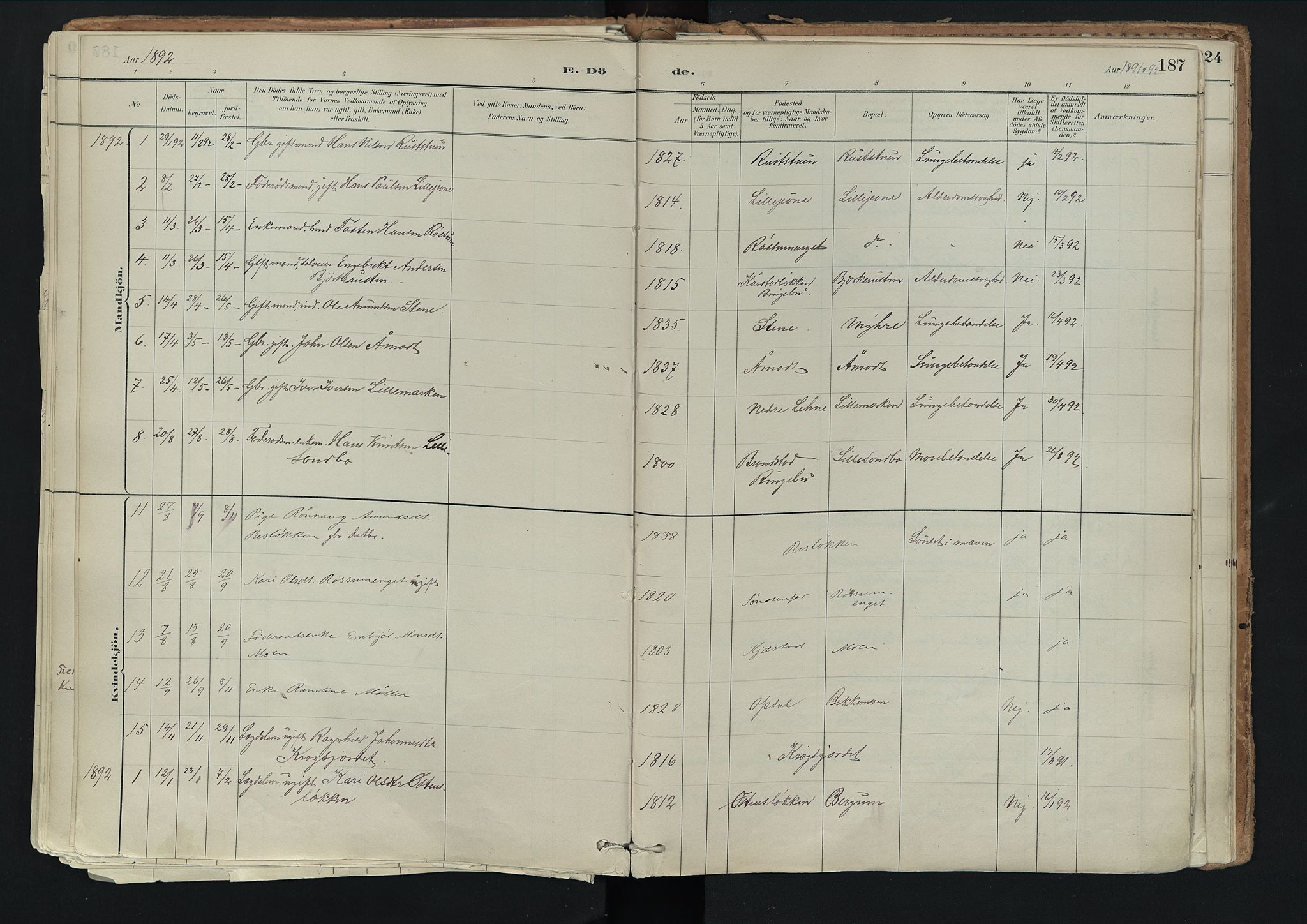 Nord-Fron prestekontor, SAH/PREST-080/H/Ha/Haa/L0003: Parish register (official) no. 3, 1884-1914, p. 187