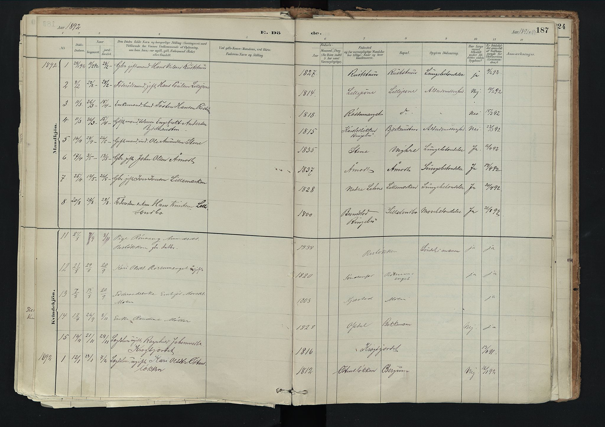 Nord-Fron prestekontor, AV/SAH-PREST-080/H/Ha/Haa/L0003: Parish register (official) no. 3, 1884-1914, p. 187