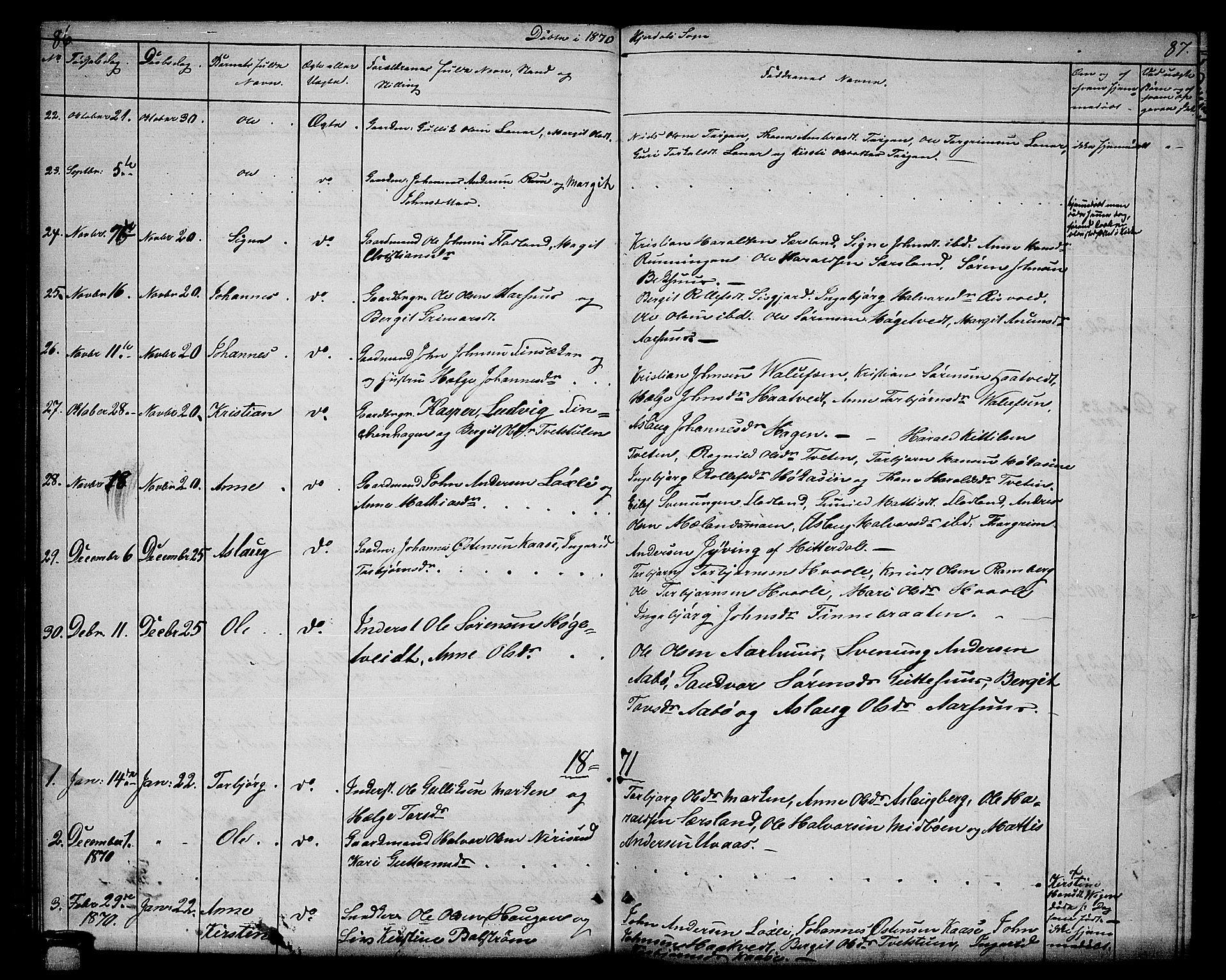 Hjartdal kirkebøker, SAKO/A-270/G/Ga/L0002: Parish register (copy) no. I 2, 1854-1888, p. 86-87