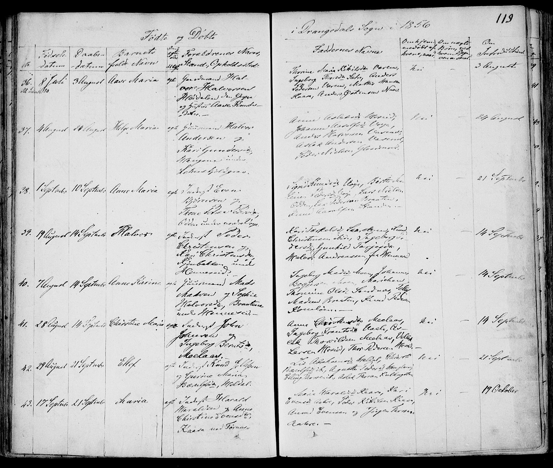 Drangedal kirkebøker, AV/SAKO-A-258/F/Fa/L0007a: Parish register (official) no. 7a, 1837-1856, p. 119