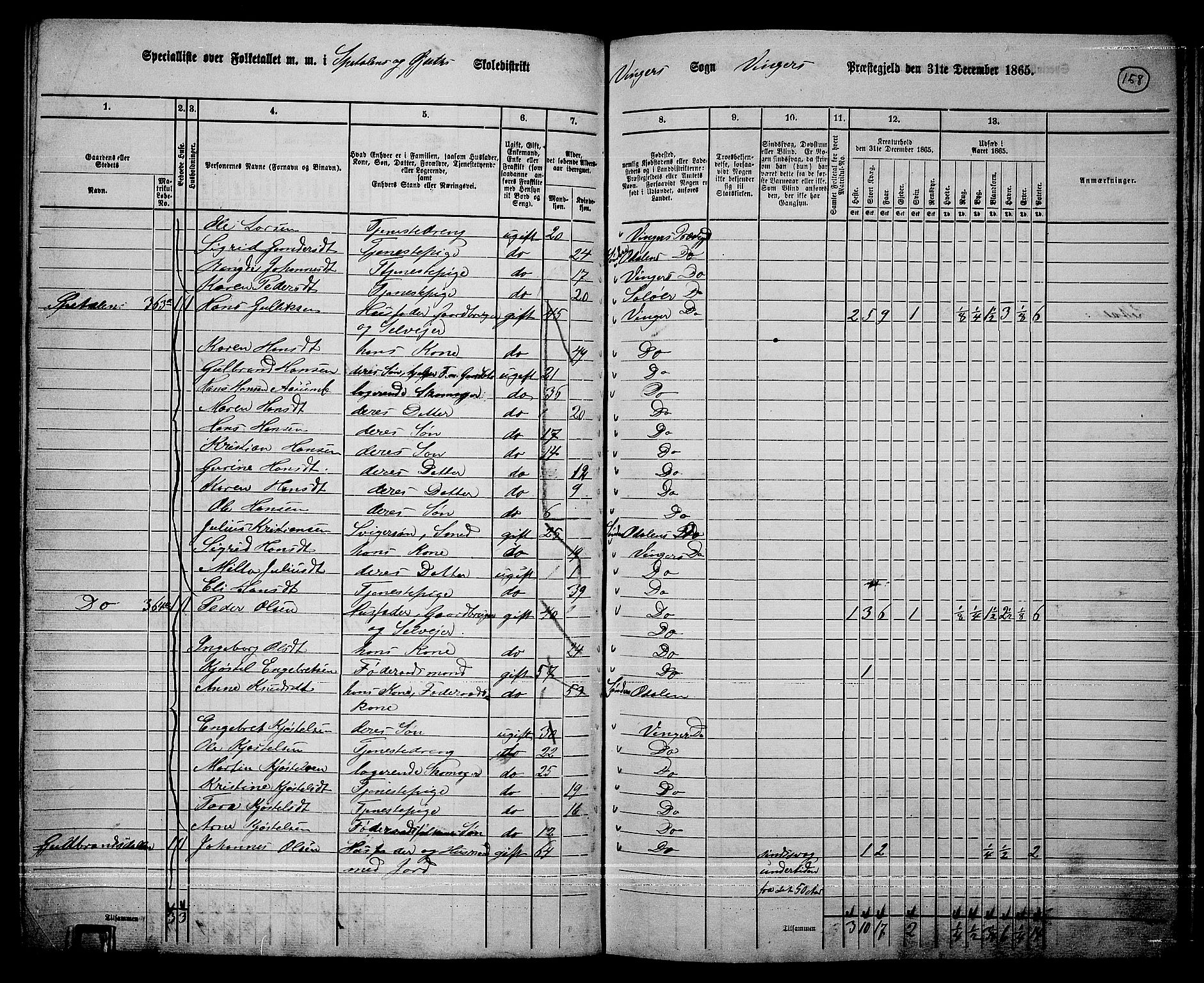 RA, 1865 census for Vinger/Vinger og Austmarka, 1865, p. 143