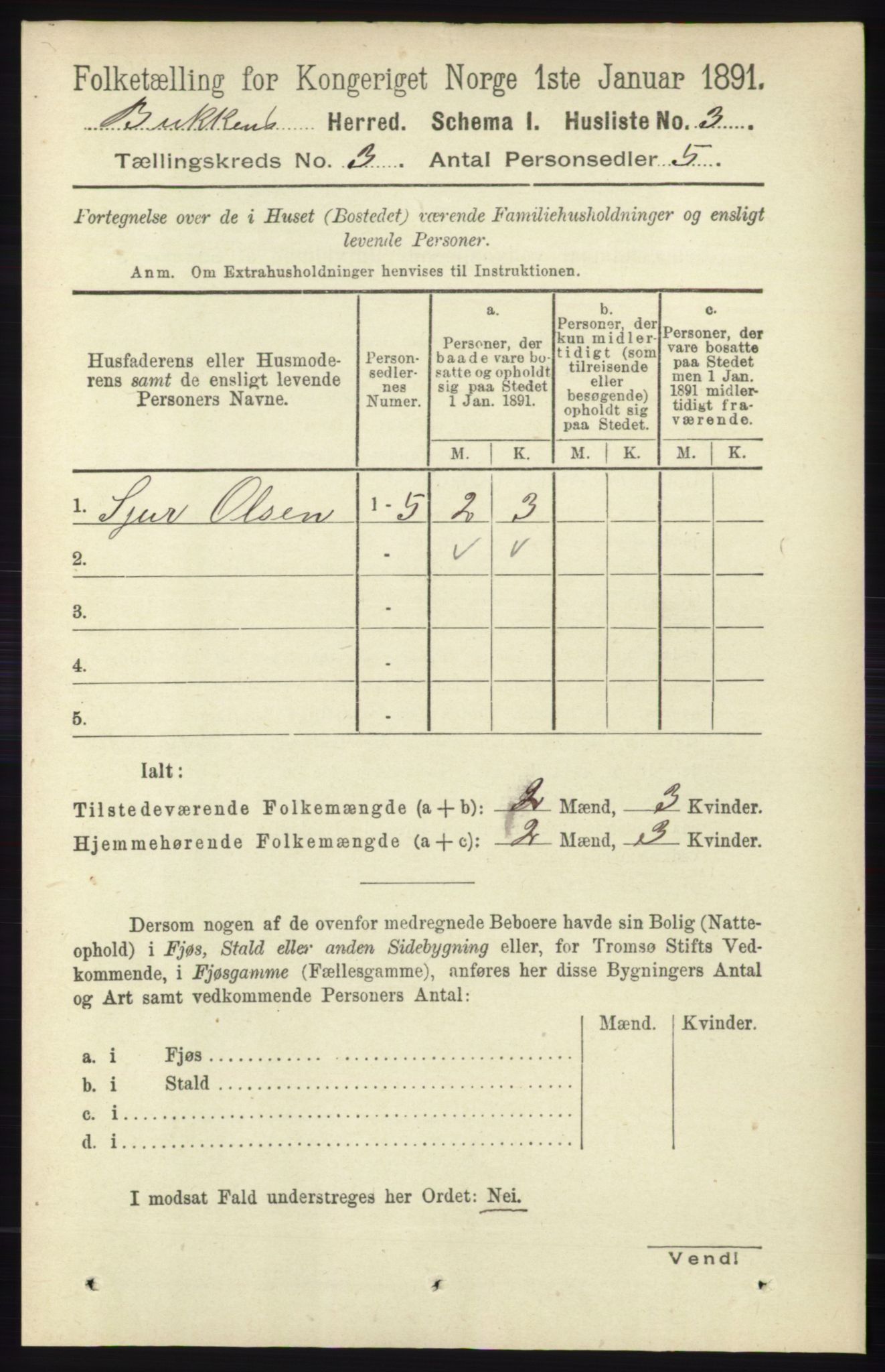 RA, 1891 census for 1145 Bokn, 1891, p. 593