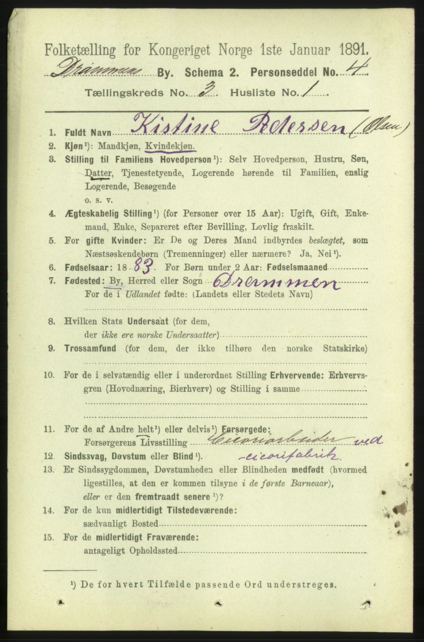 RA, 1891 census for 0602 Drammen, 1891, p. 4909