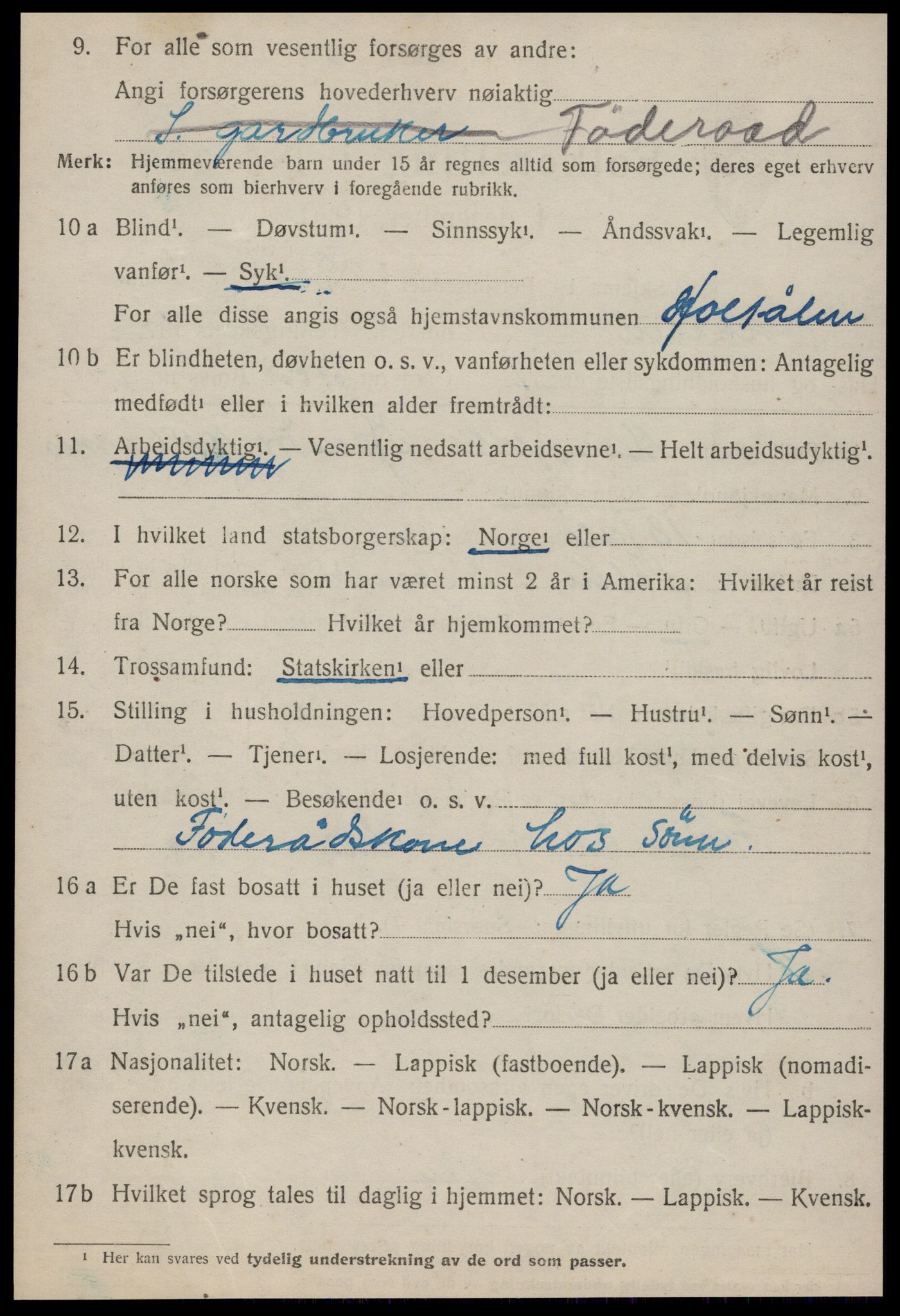 SAT, 1920 census for Haltdalen, 1920, p. 371