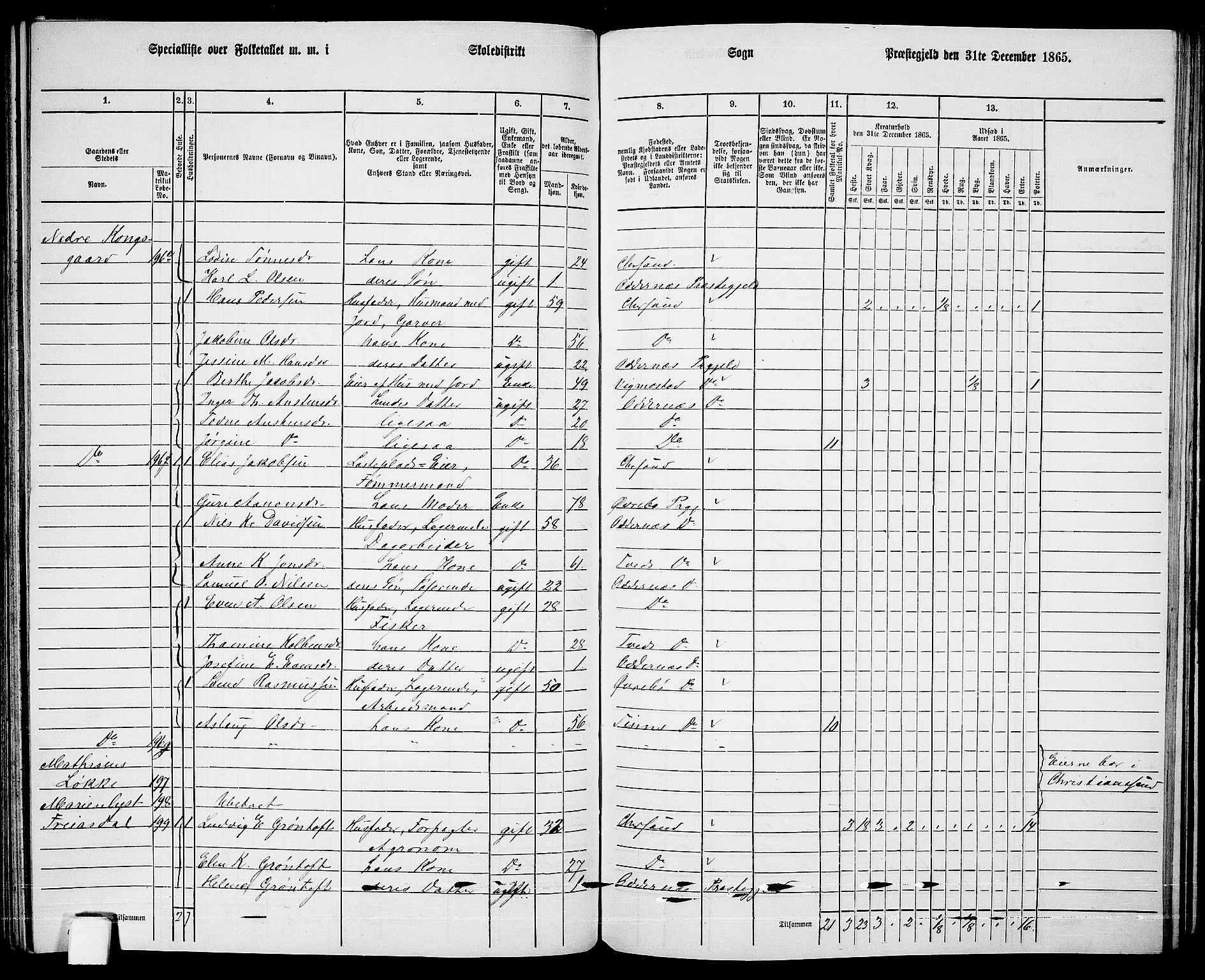 RA, 1865 census for Oddernes, 1865, p. 111