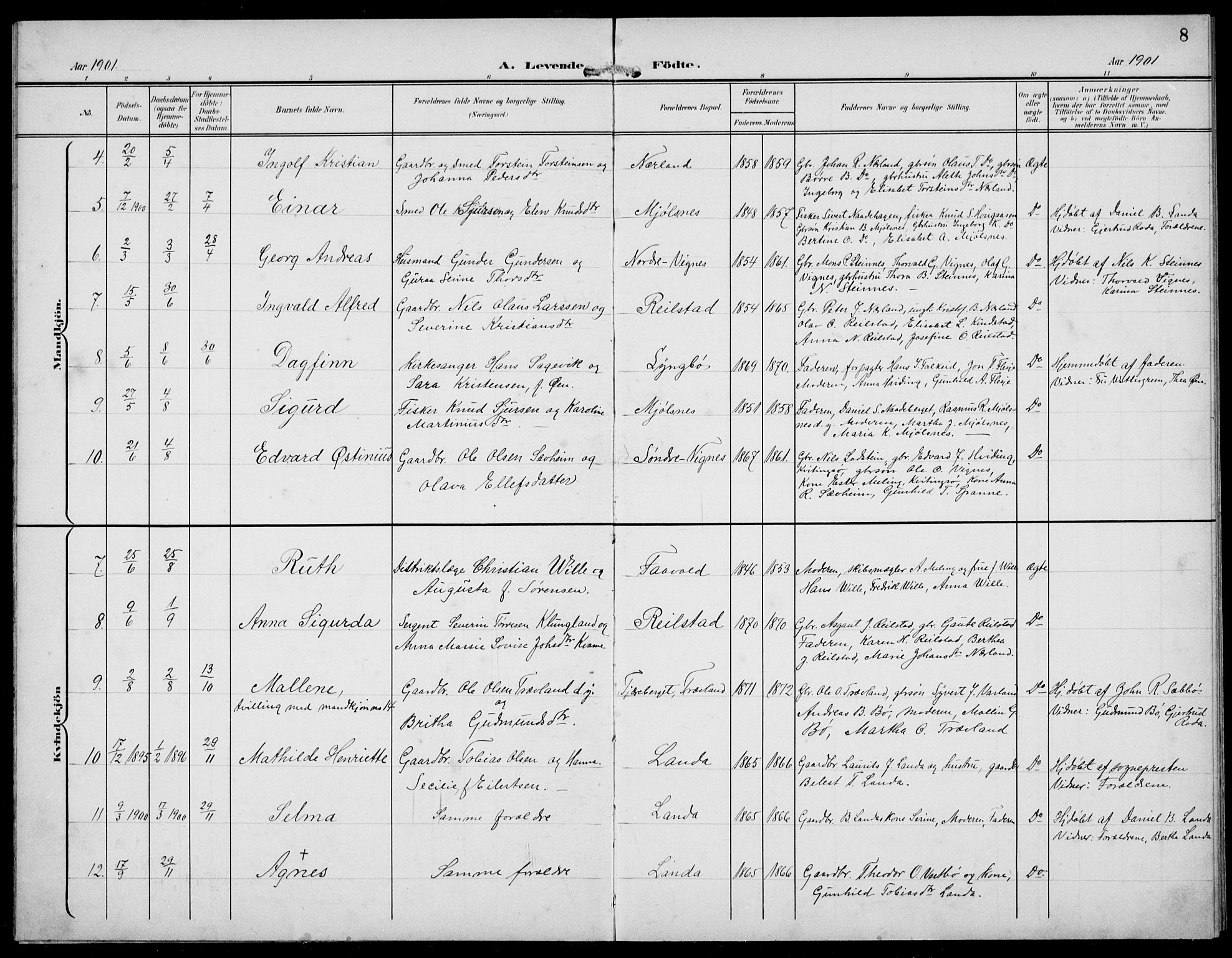 Finnøy sokneprestkontor, AV/SAST-A-101825/H/Ha/Hab/L0006: Parish register (copy) no. B 6, 1900-1934, p. 8