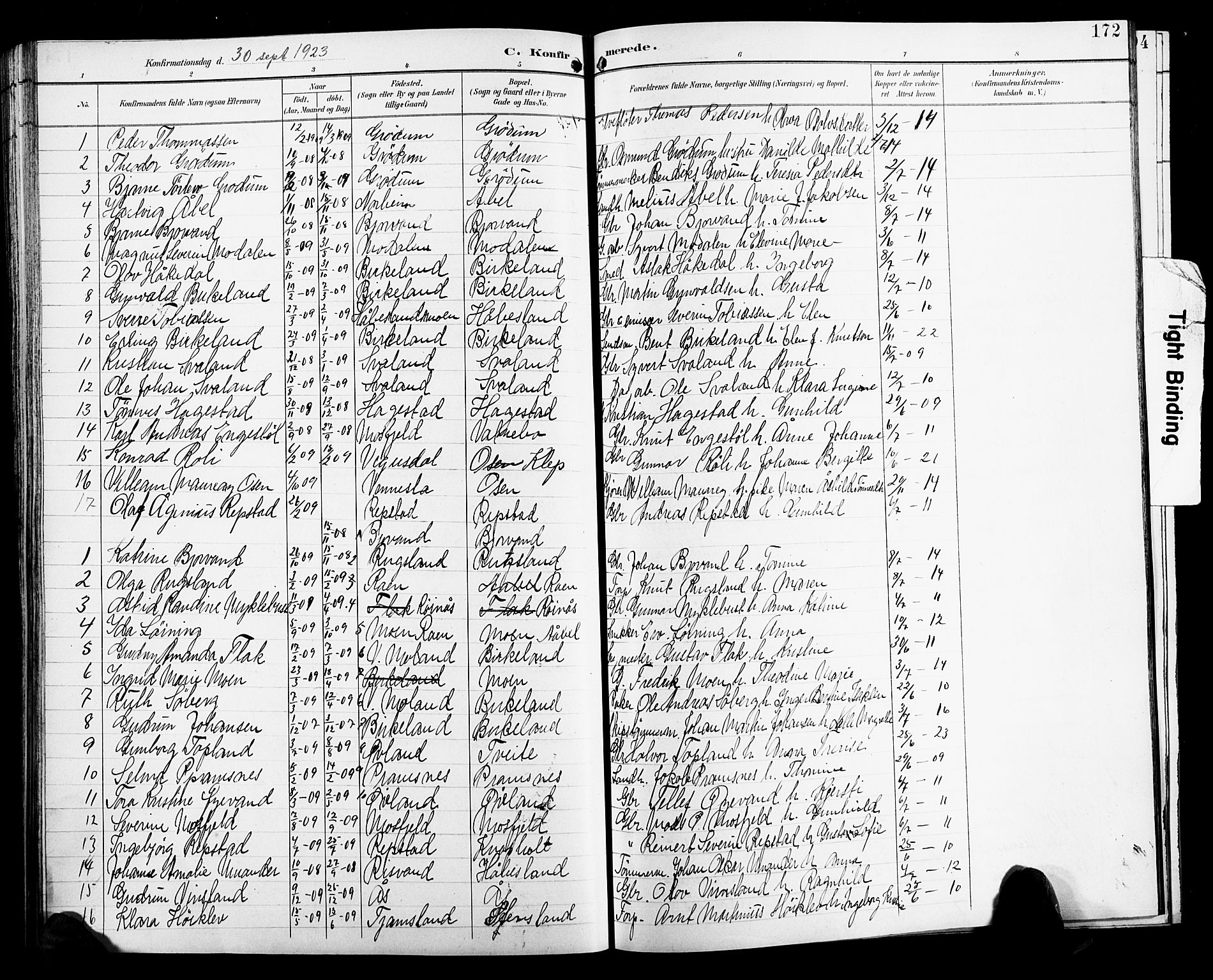 Birkenes sokneprestkontor, SAK/1111-0004/F/Fb/L0004: Parish register (copy) no. B 4, 1893-1930, p. 172