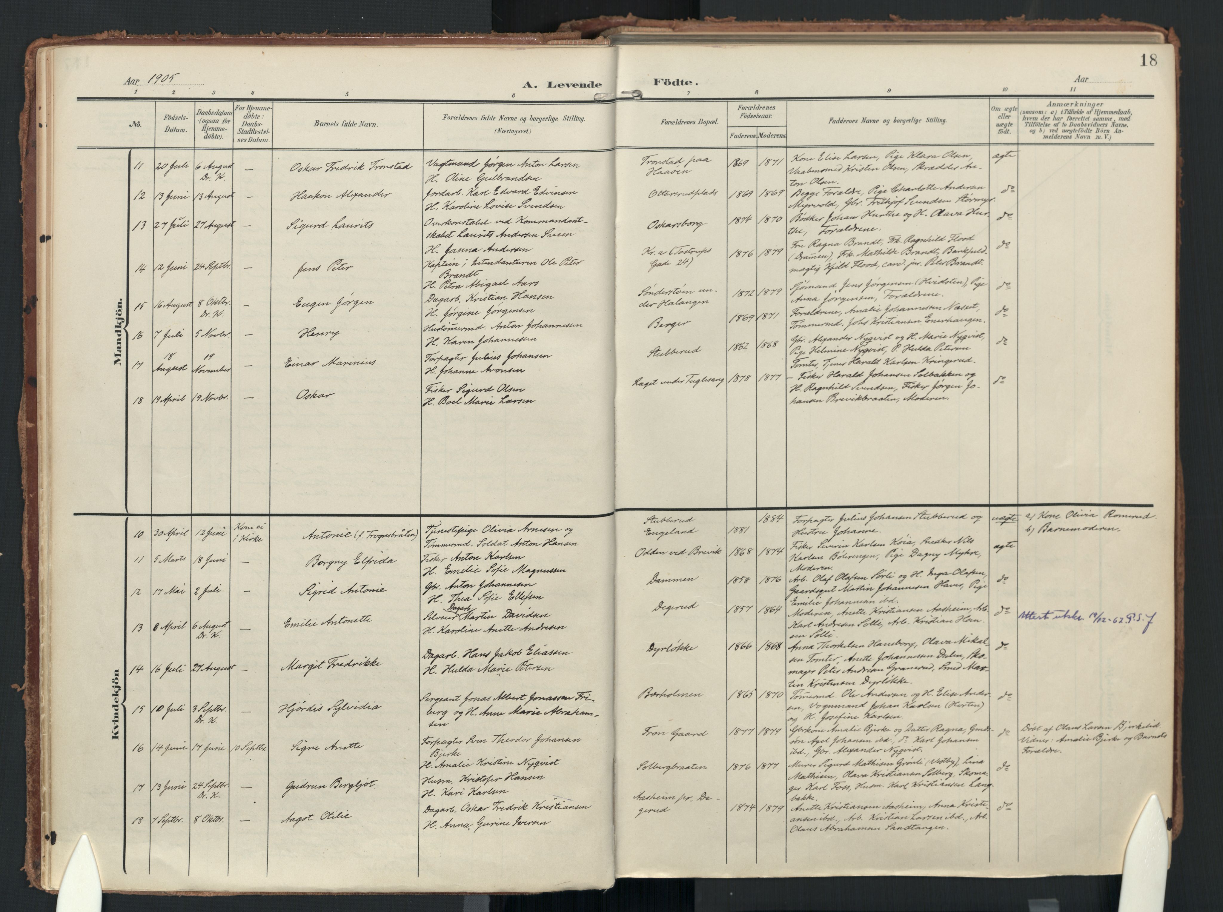 Drøbak prestekontor Kirkebøker, AV/SAO-A-10142a/F/Fc/L0003: Parish register (official) no. III 3, 1901-1920, p. 18